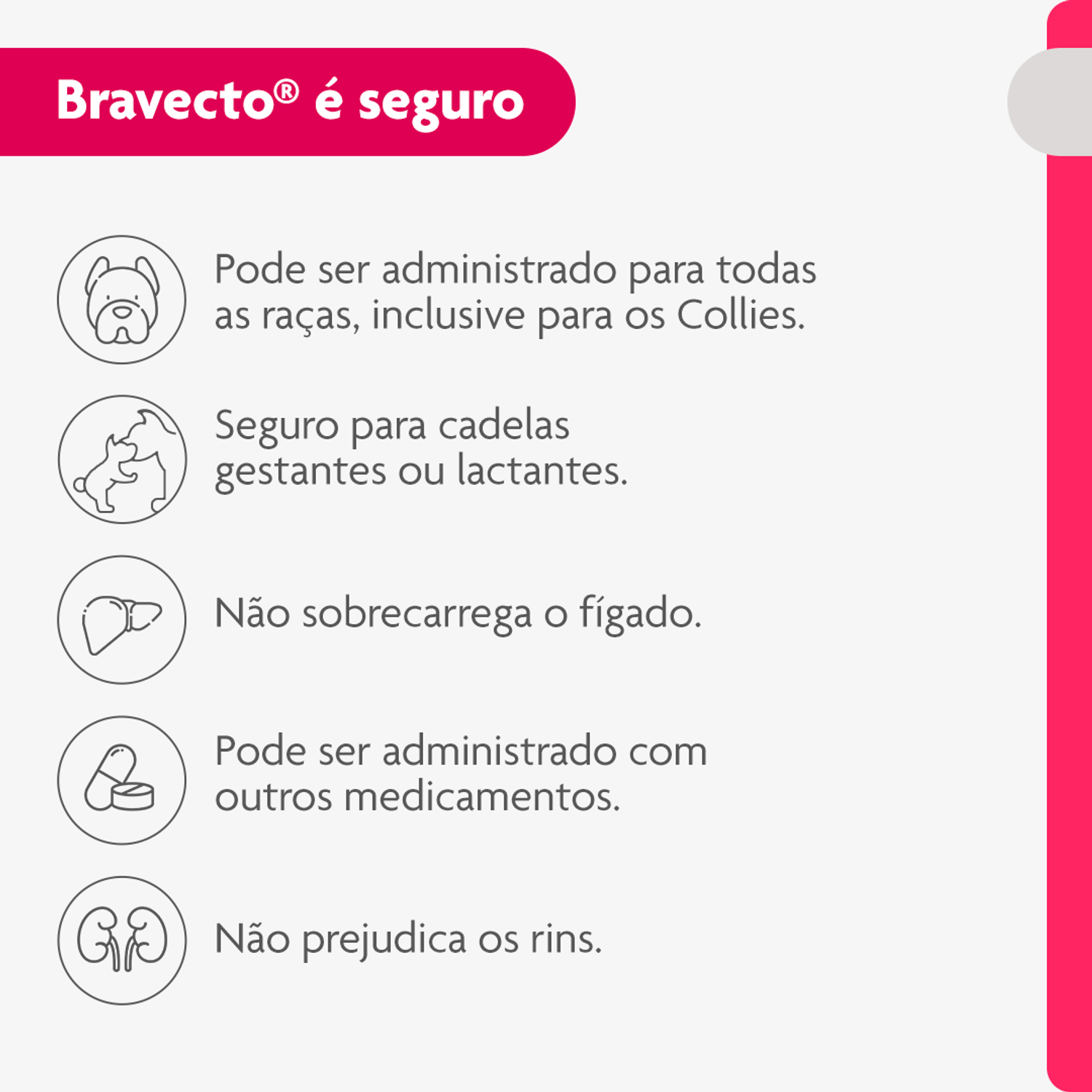 Bravecto-Transdermal-Caes-20-a-40-kg-e-seguro