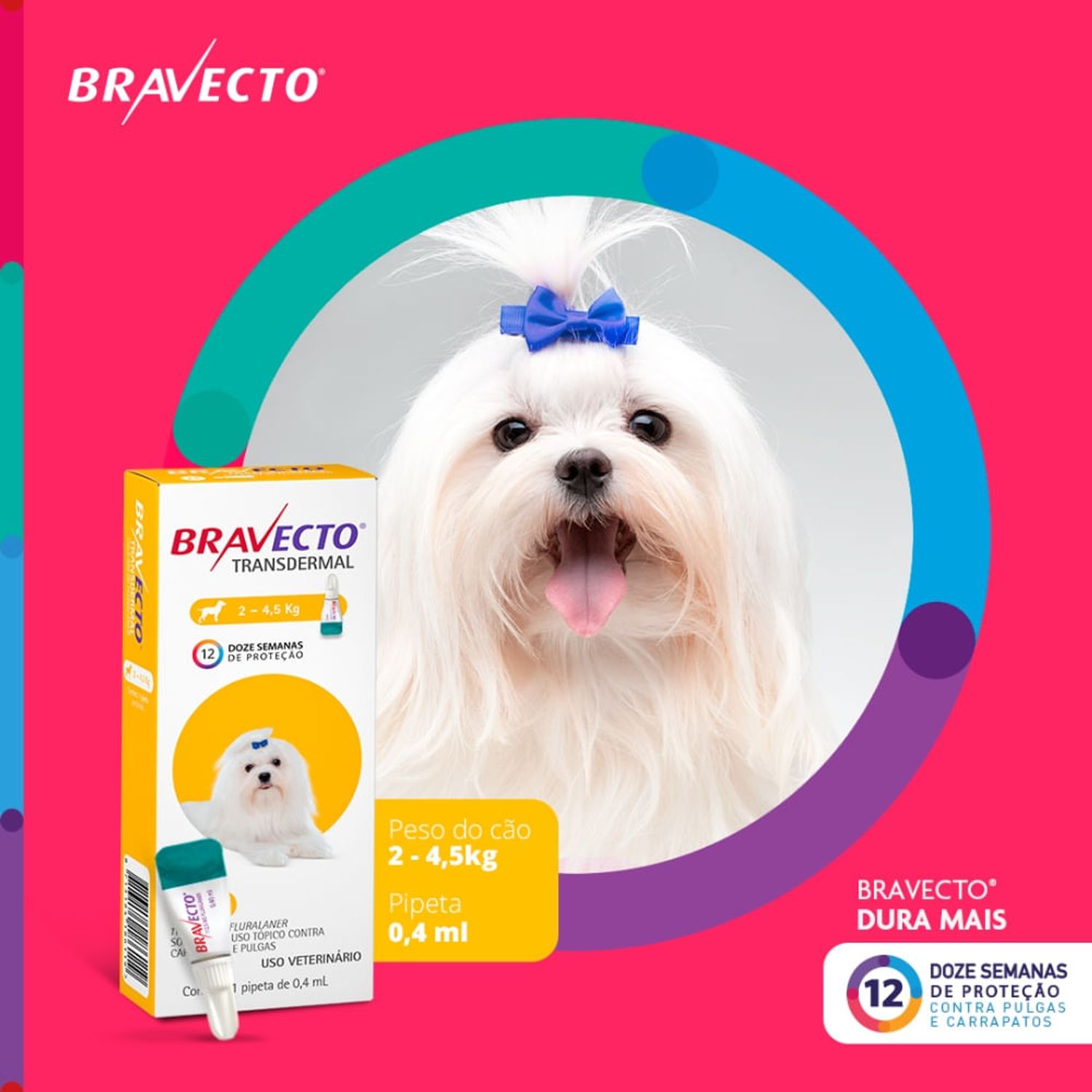 Bravecto-Transdermal-Caes-2-a-45-kg-dura-mais