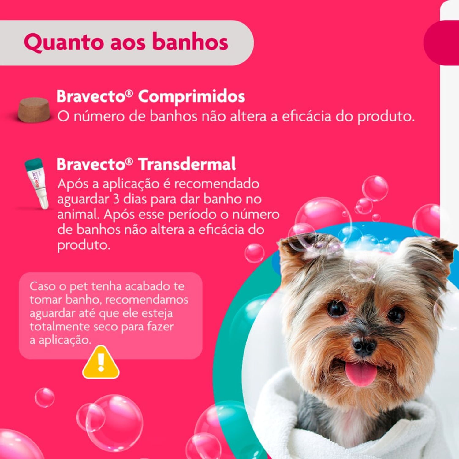 Bravecto-quanto-aos-banhos
