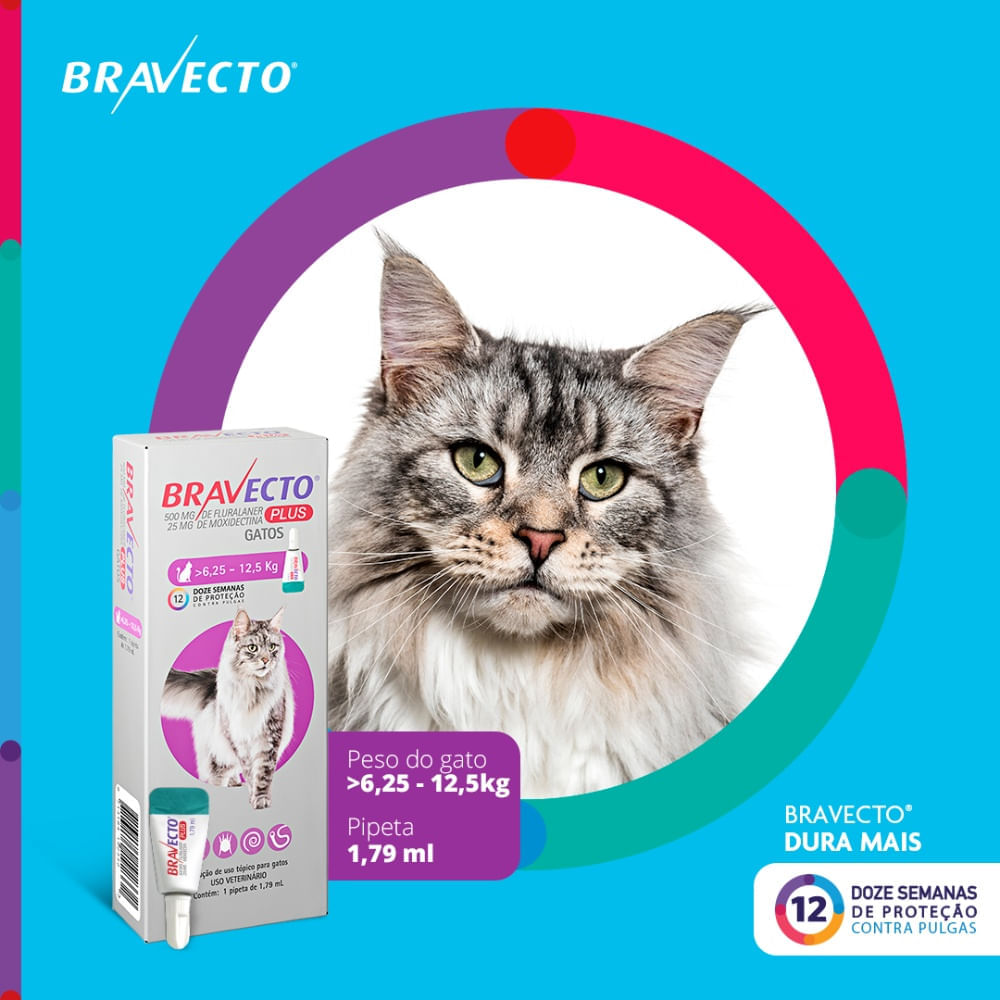 Antipulgas Bravecto Plus Gatos 6,25 a 12,5 kg