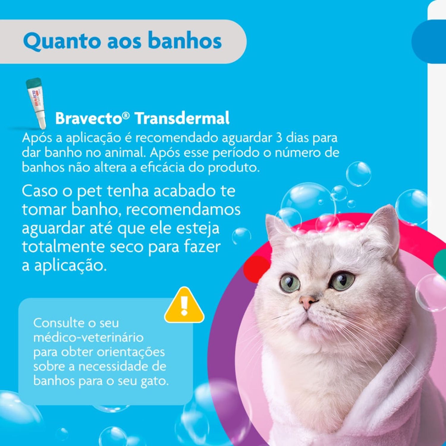 Bravecto---quanto-aos-banhos