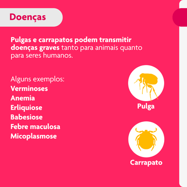 Pulgas-e-carrapatos-podem-transmitir-doencas-graves