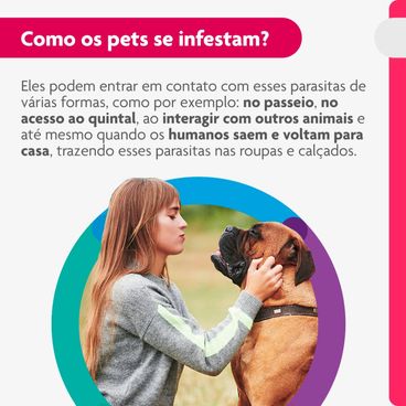 Como-os-pets-se-infestam-