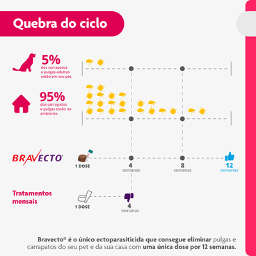 Quebra-do-ciclo-de-vida-de-pulgas-e-carrapatos