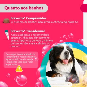 Bravecto-quanto-aos-banhos