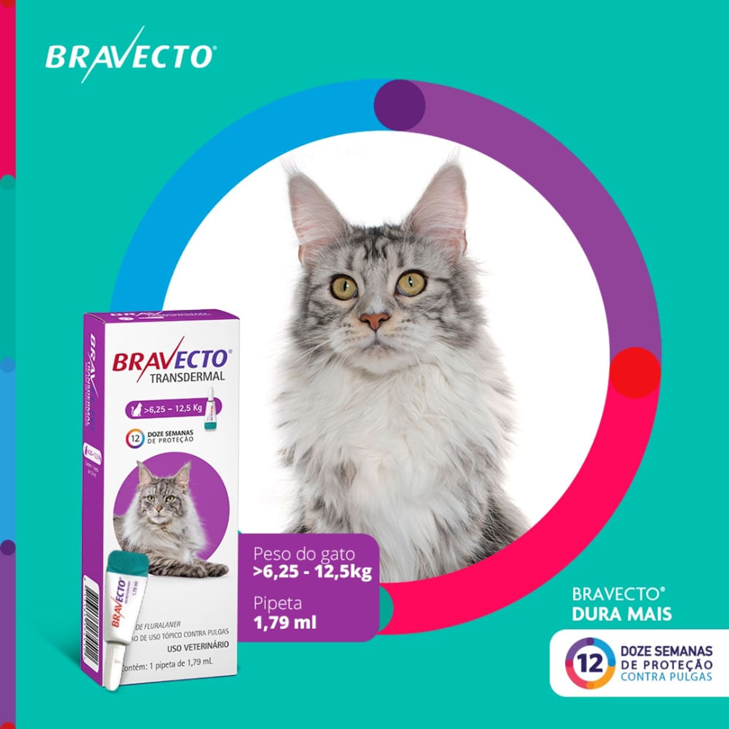 Bravecto-Transdermal-Gatos-625-a-125kg-dura-mais