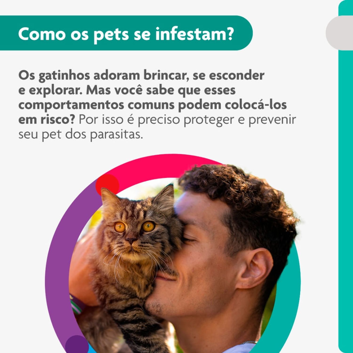 Como-os-pets-se-infestam-