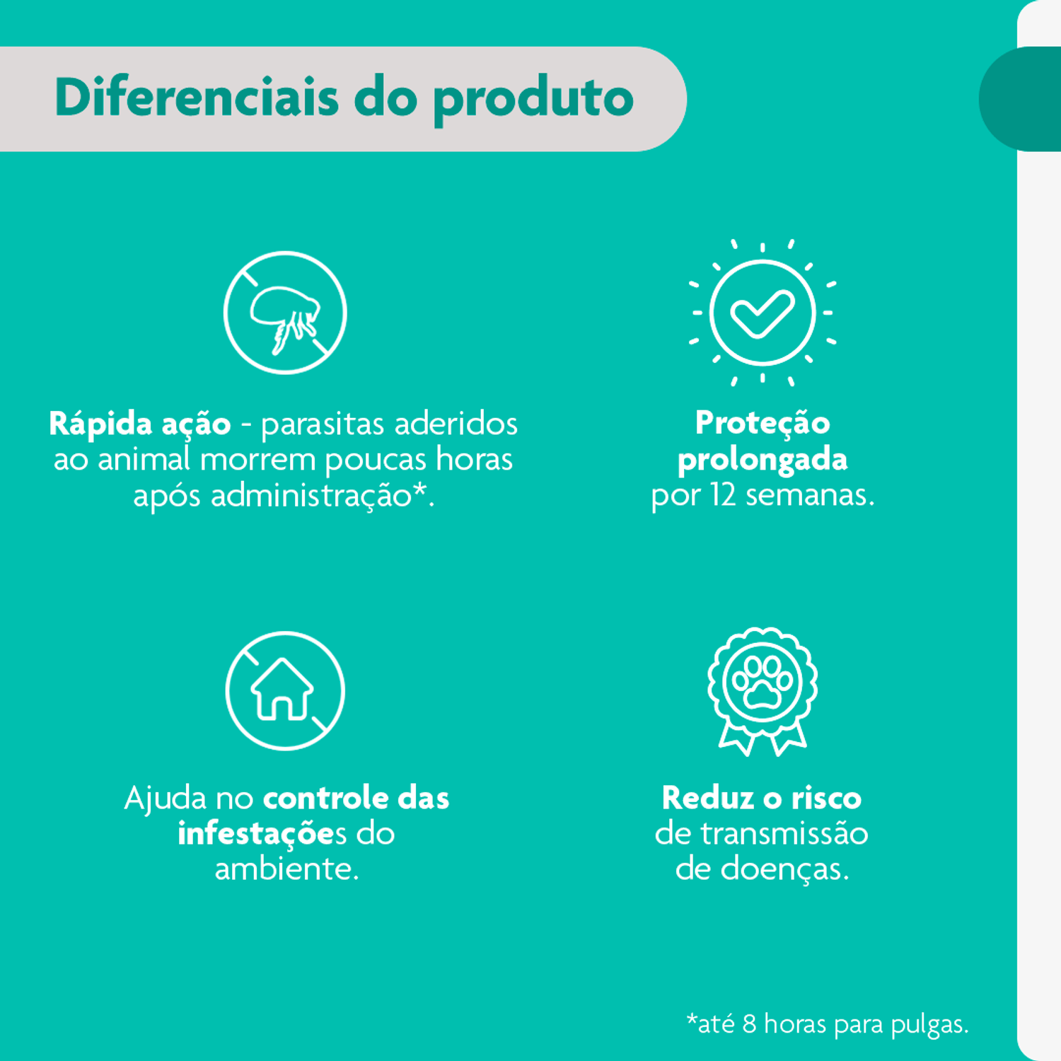 Bravecto-Transdermal-Gatos-625-a-125kg-diferenciais
