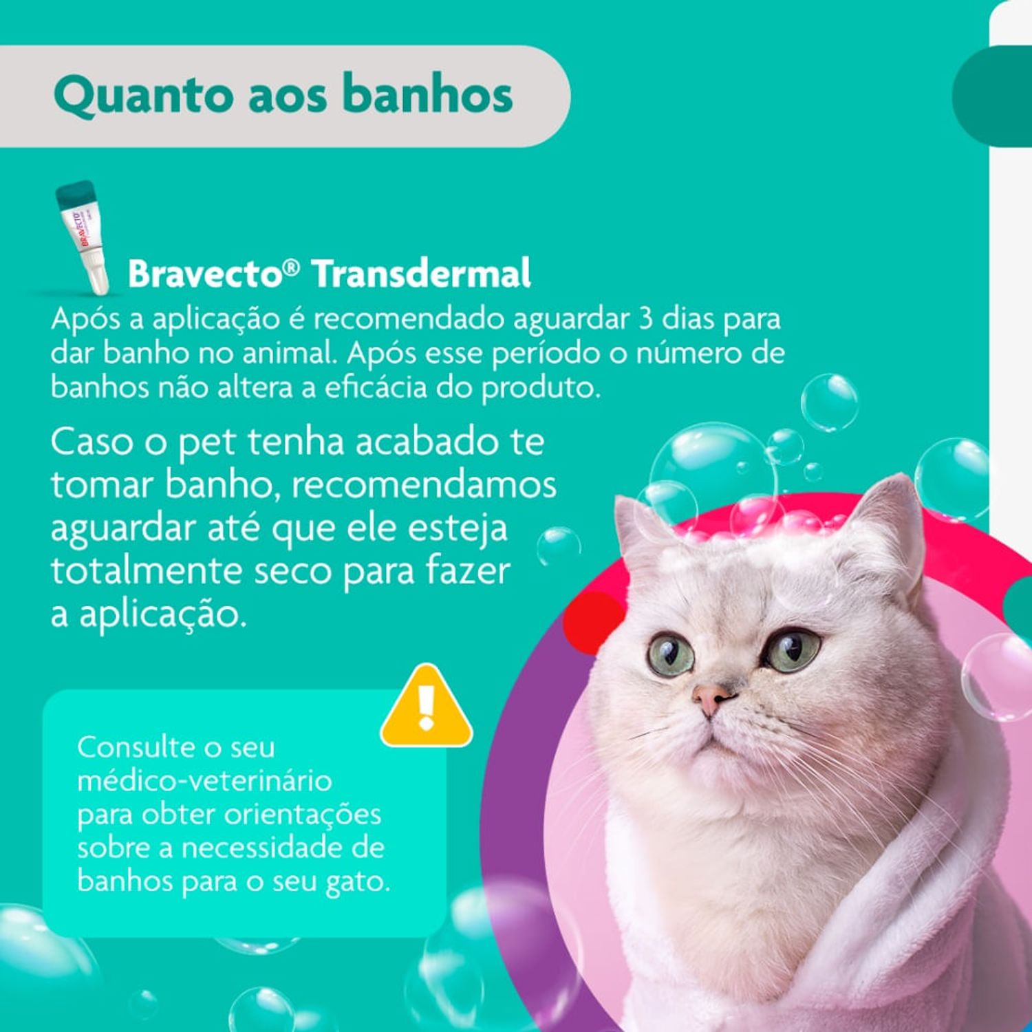 Bravecto---quanto-aos-banhos