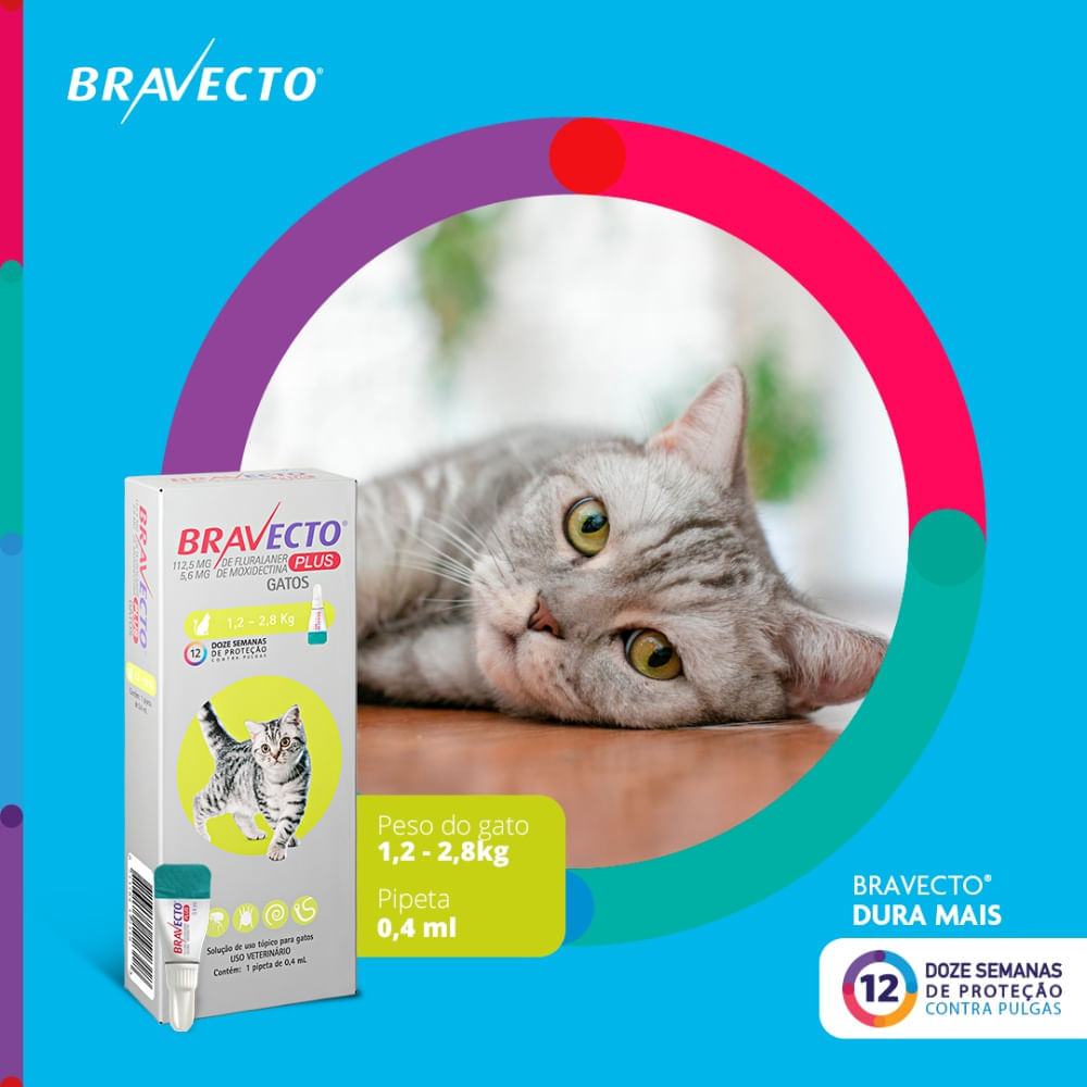 Antipulgas Bravecto Plus Gatos 1,2 a 2,8 kg