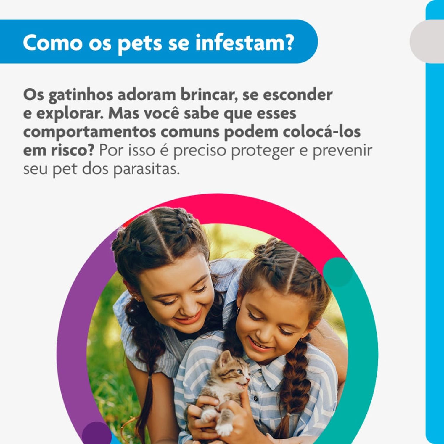 Como-os-pets-se-infestam-