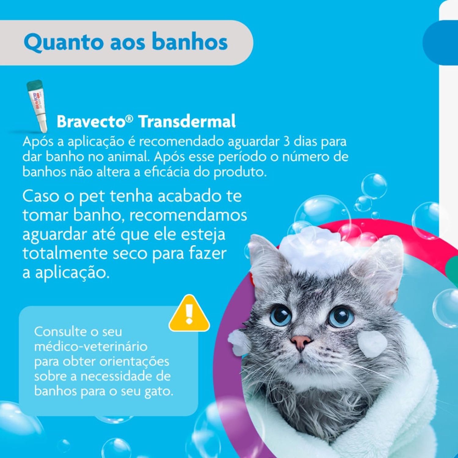 Bravecto---quanto-aos-banhos