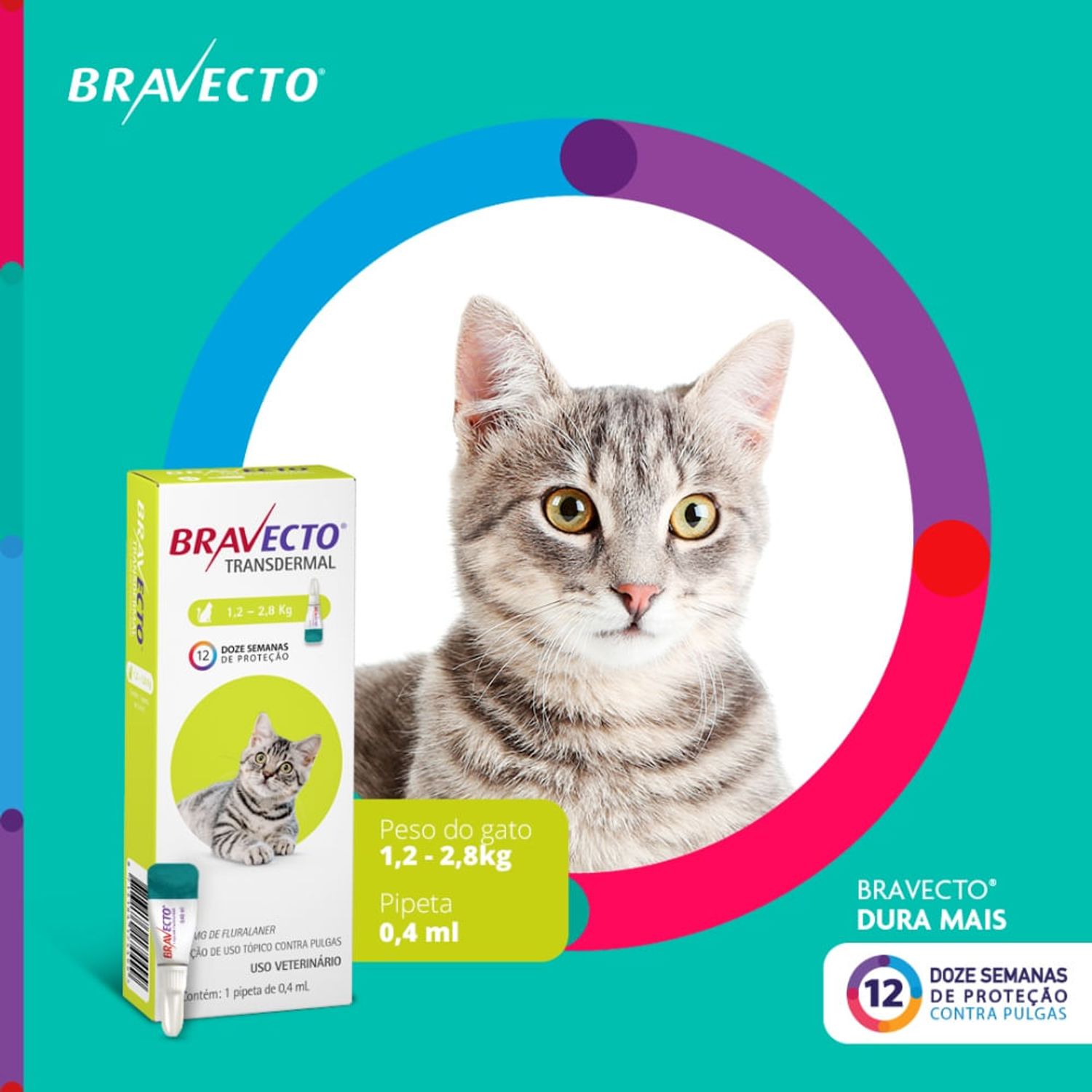 Bravecto-Transdermal-Gatos-12-a-28kg-dura-mais
