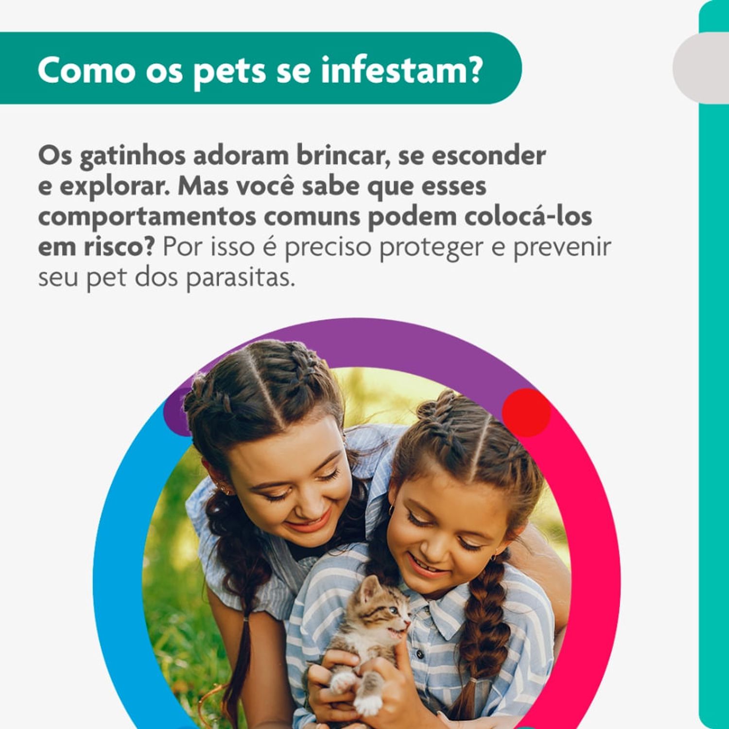 Como-os-pets-se-infestam-