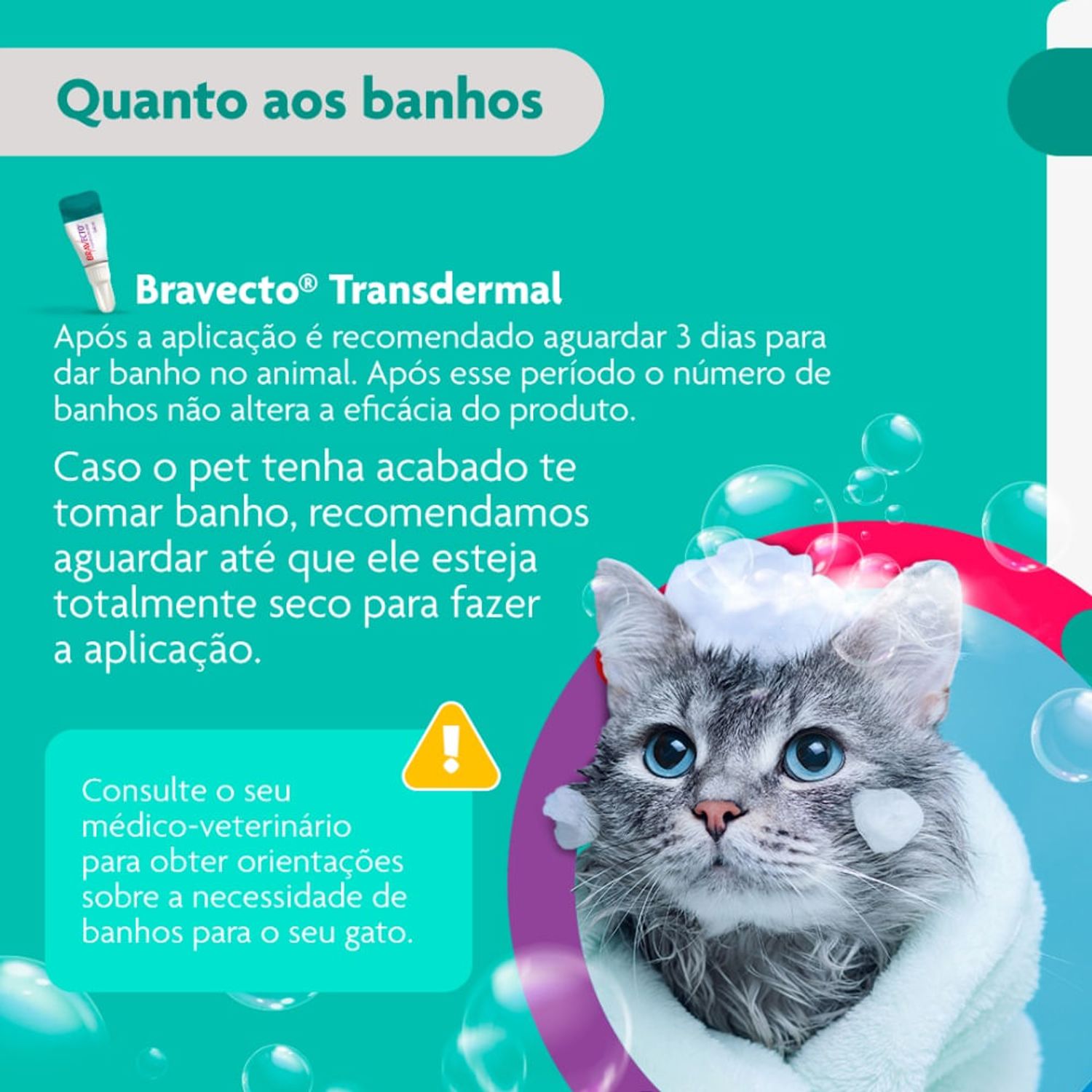 Bravecto---quanto-aos-banhos