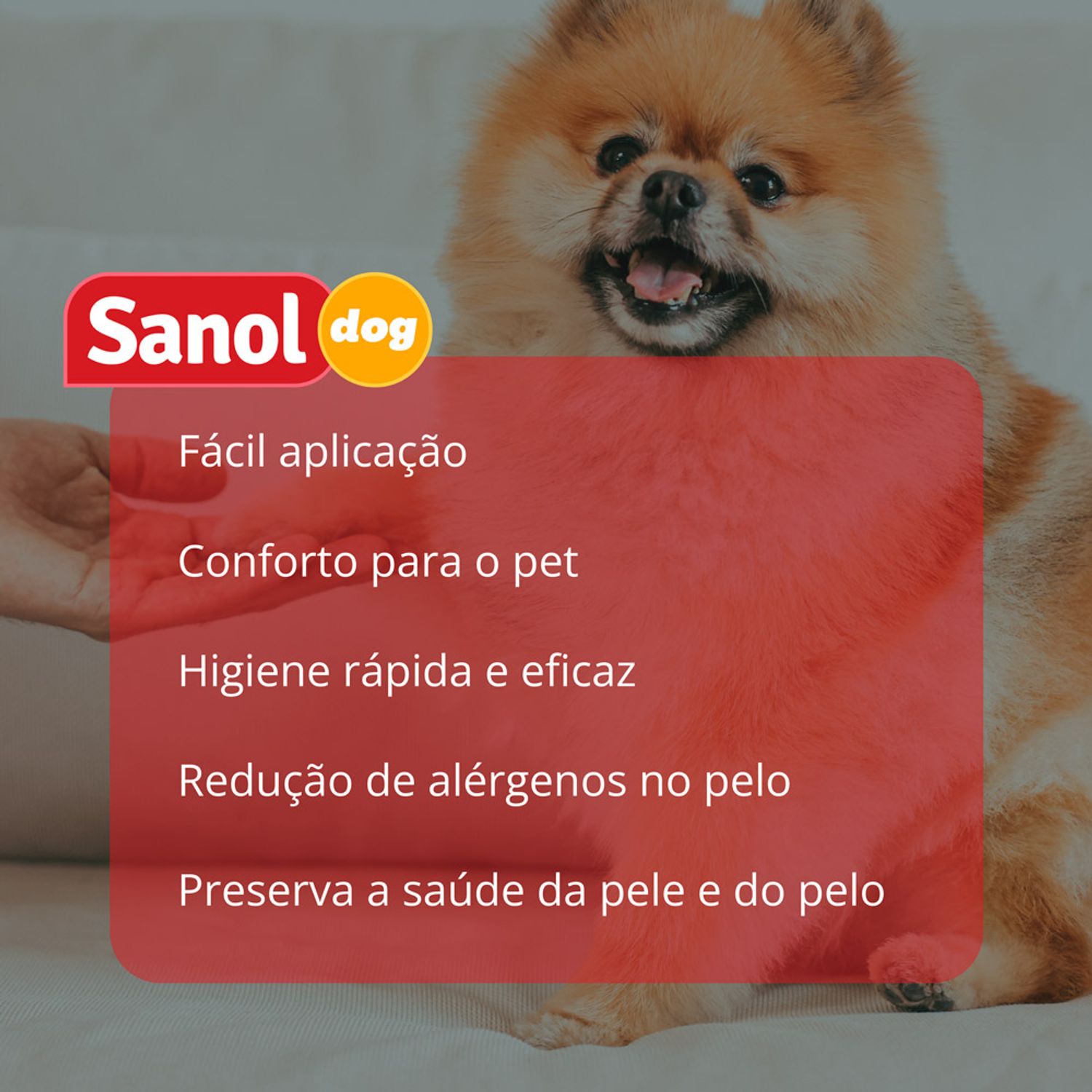 Beneficios-do-Banho-a-Seco-Sanol-para-Caes-e-Gatos