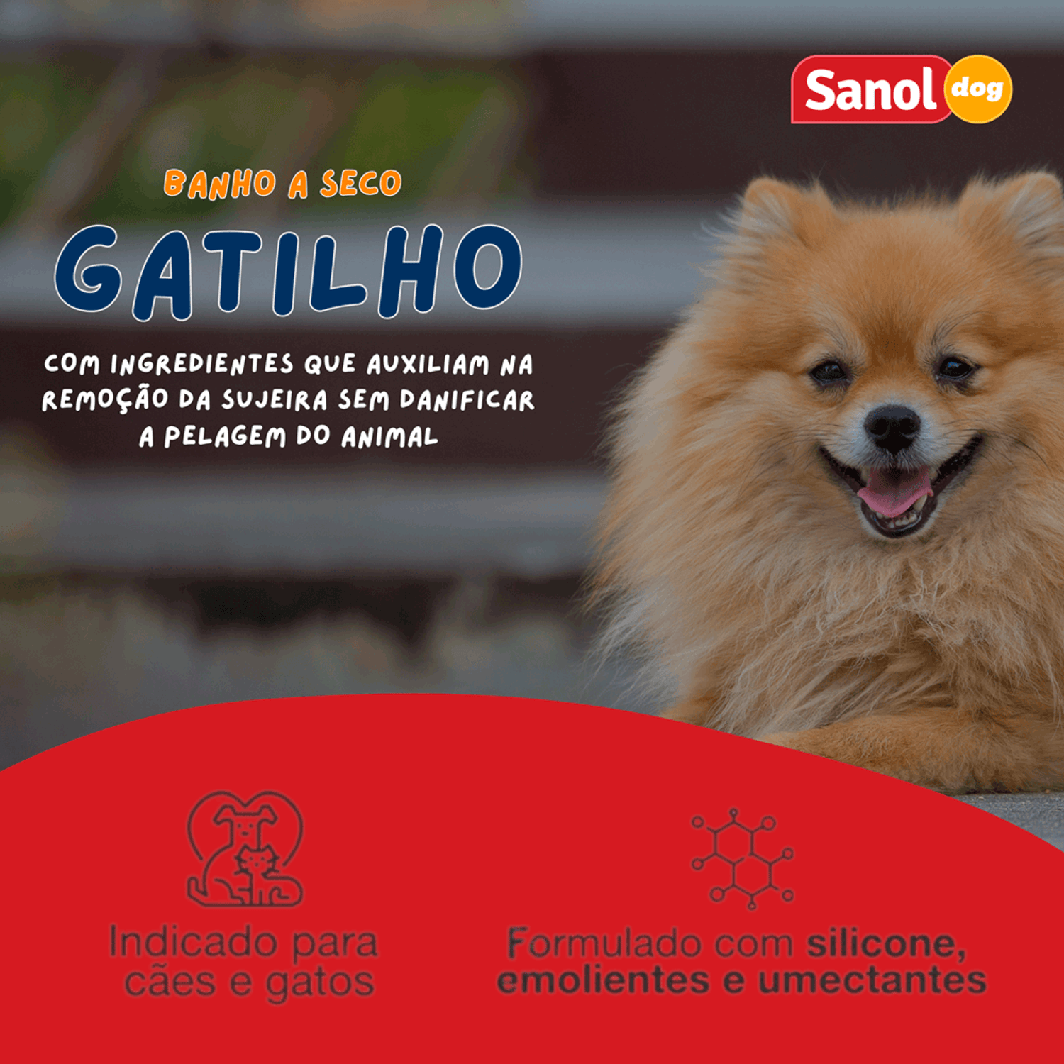 Informacoes-do-Banho-a-Seco-Sanol-para-Caes-e-Gatos