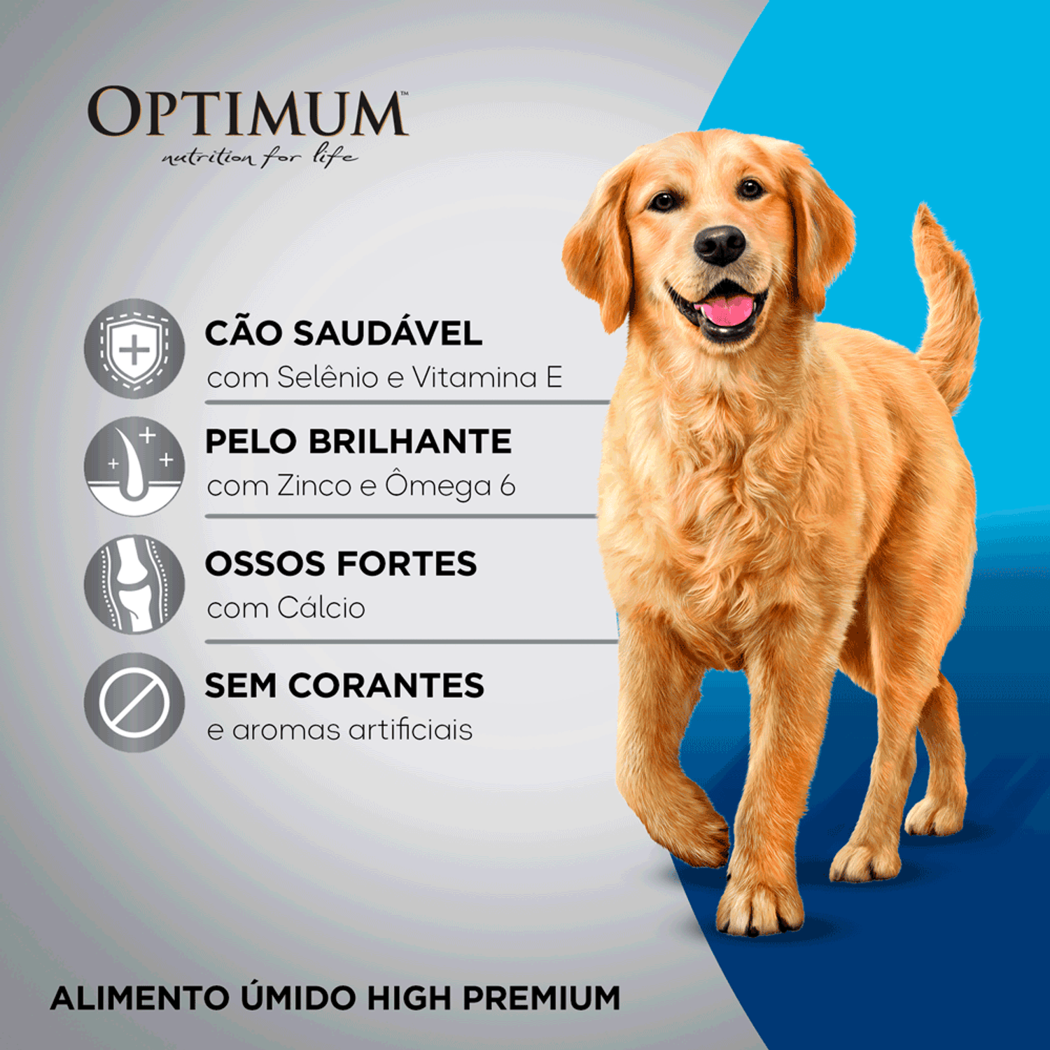 Beneficios-da-Racao-Umida-Optimum-Sache-Caes-Adultos-Frango