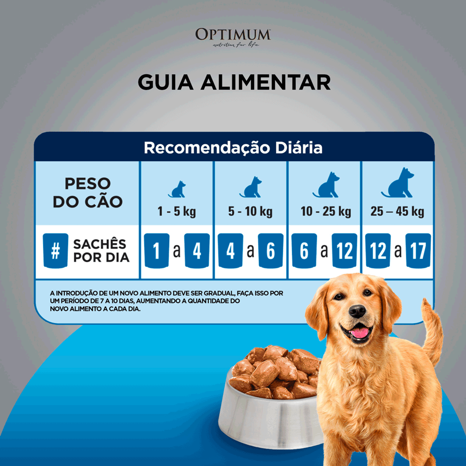 Guia-Alimentar