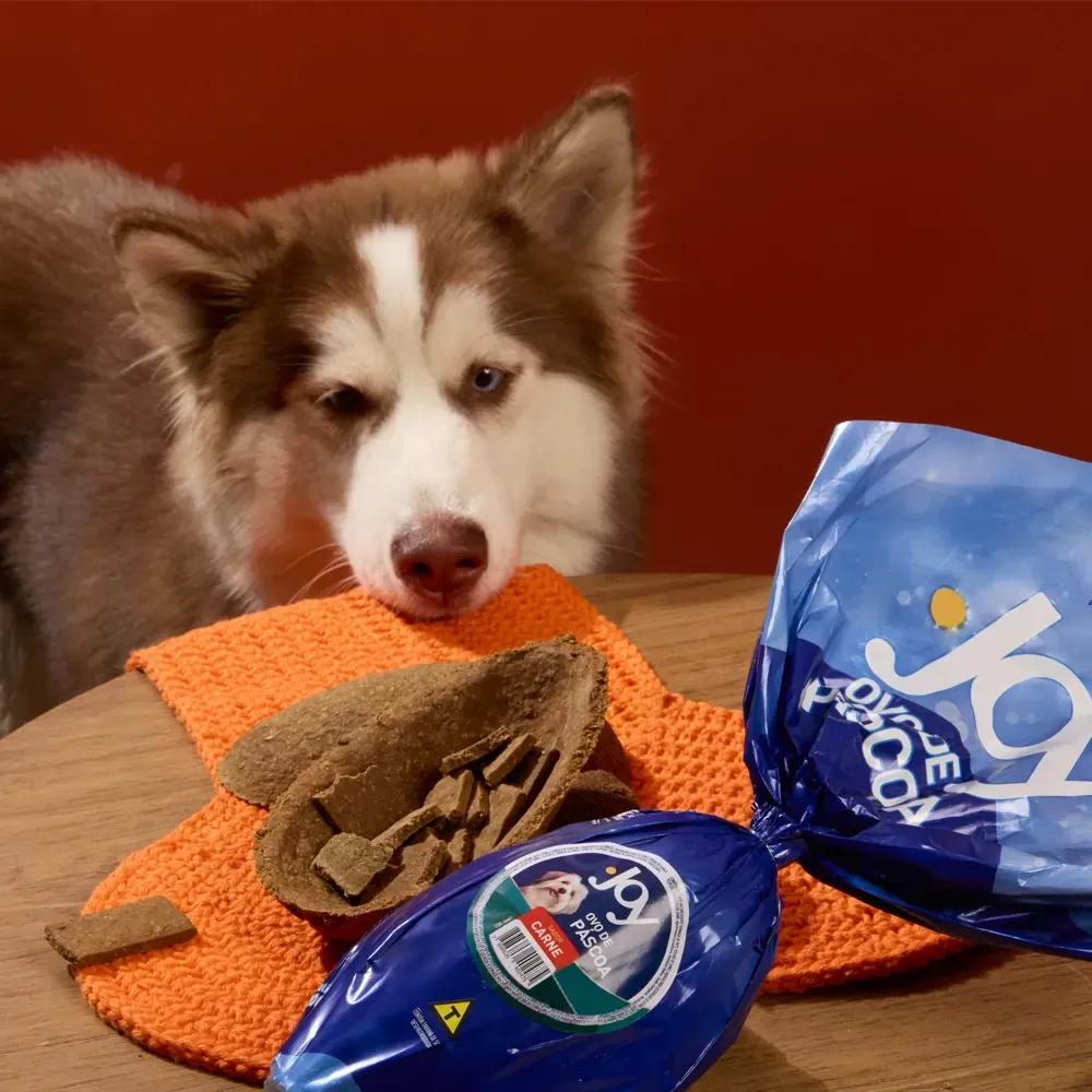 Ovo de Páscoa para Cachorro Joy Frango
