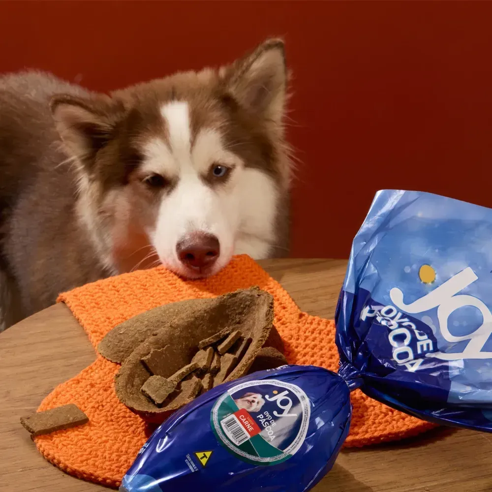 Ovo de Páscoa para Cachorro Joy Carne