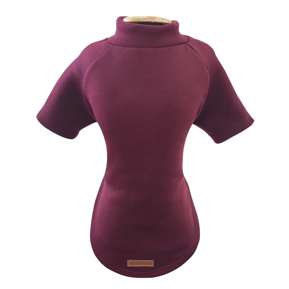 Blusa Moletom Com Manga Vinho Fábrica Pet