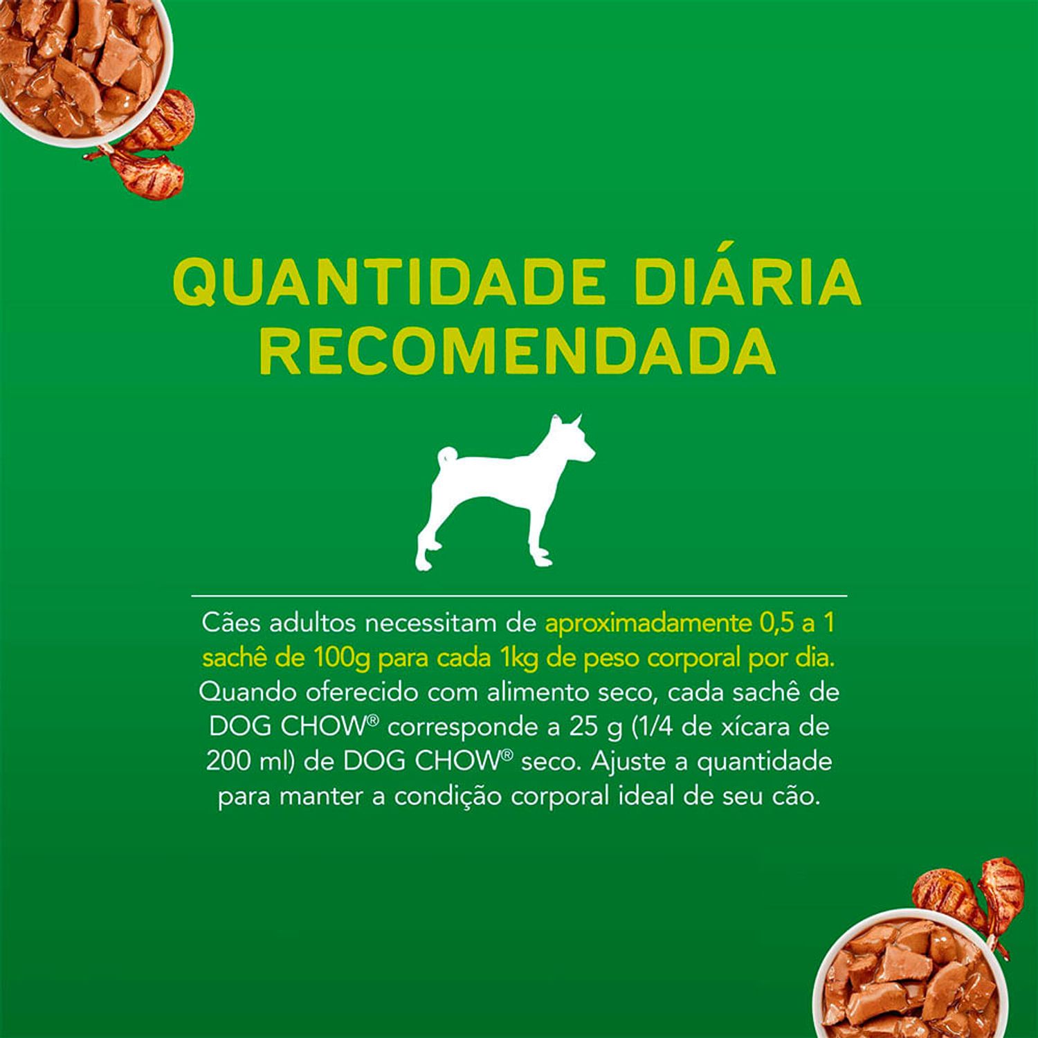 Quantidade-diaria-Racao-Umida-Caes-Adultos-Cordeiro