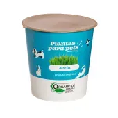 Grama para Pet - Aveia Pote 11