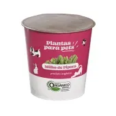 Grama para Pet - Milho Pote 11