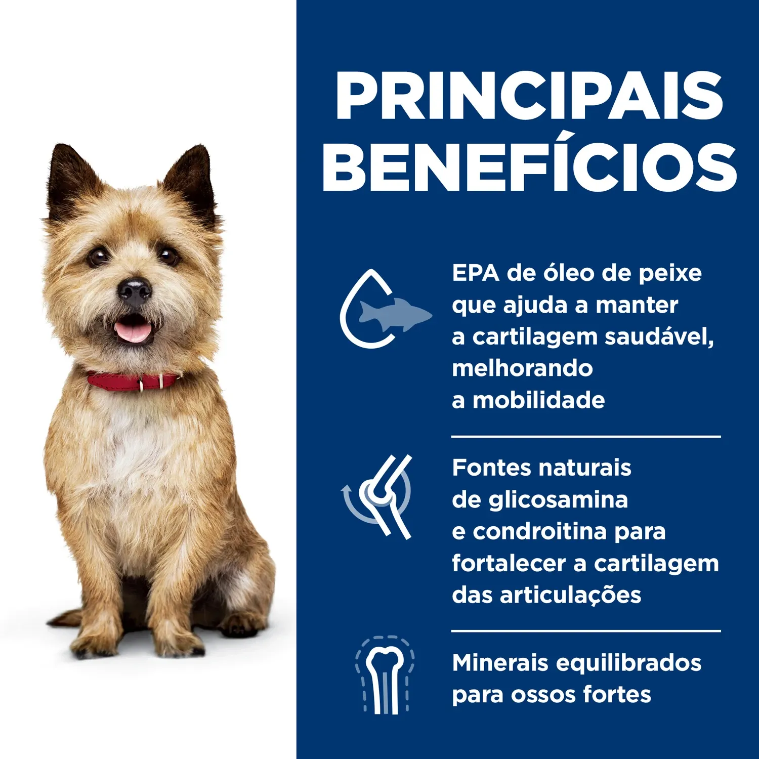 Principais-beneficios.webp