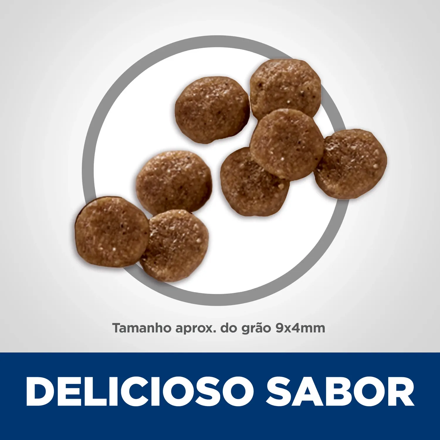 Delicioso-Sabor.webp