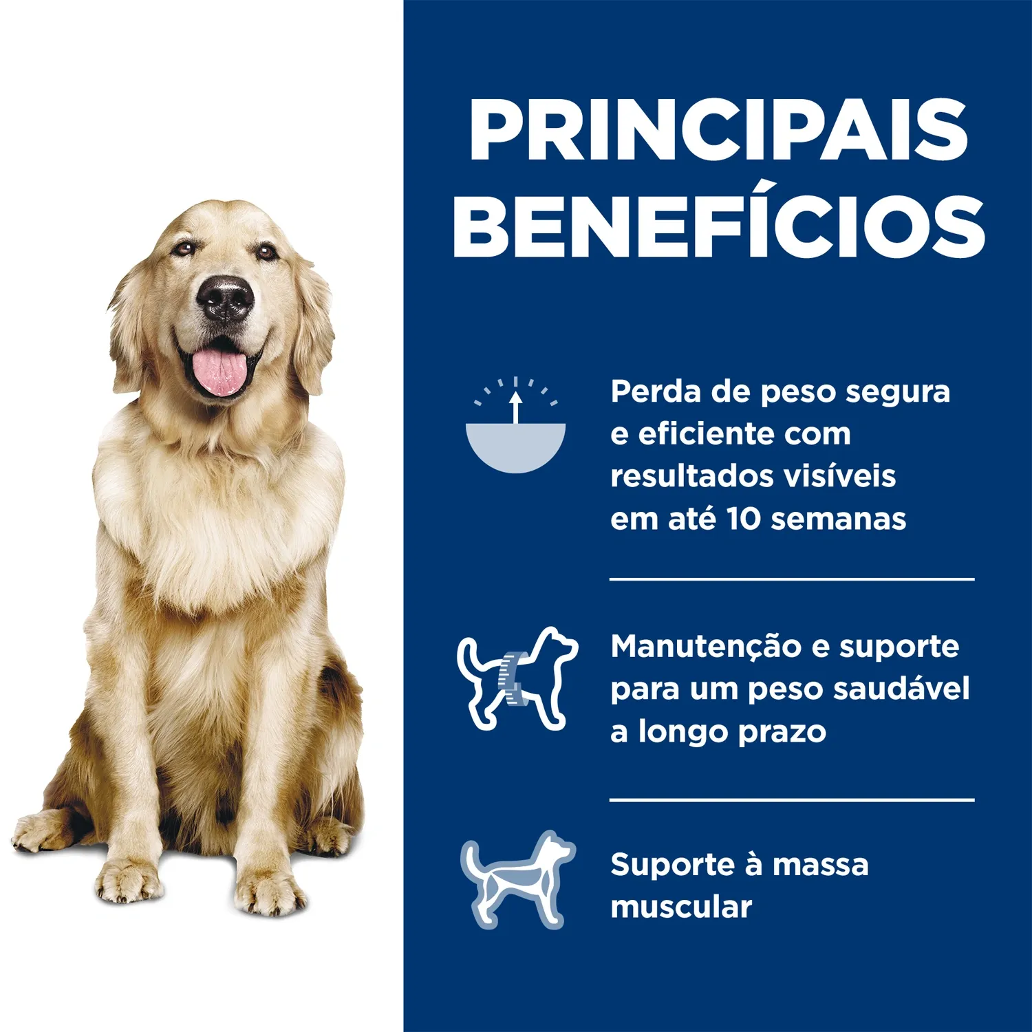 Principais-beneficios.webp
