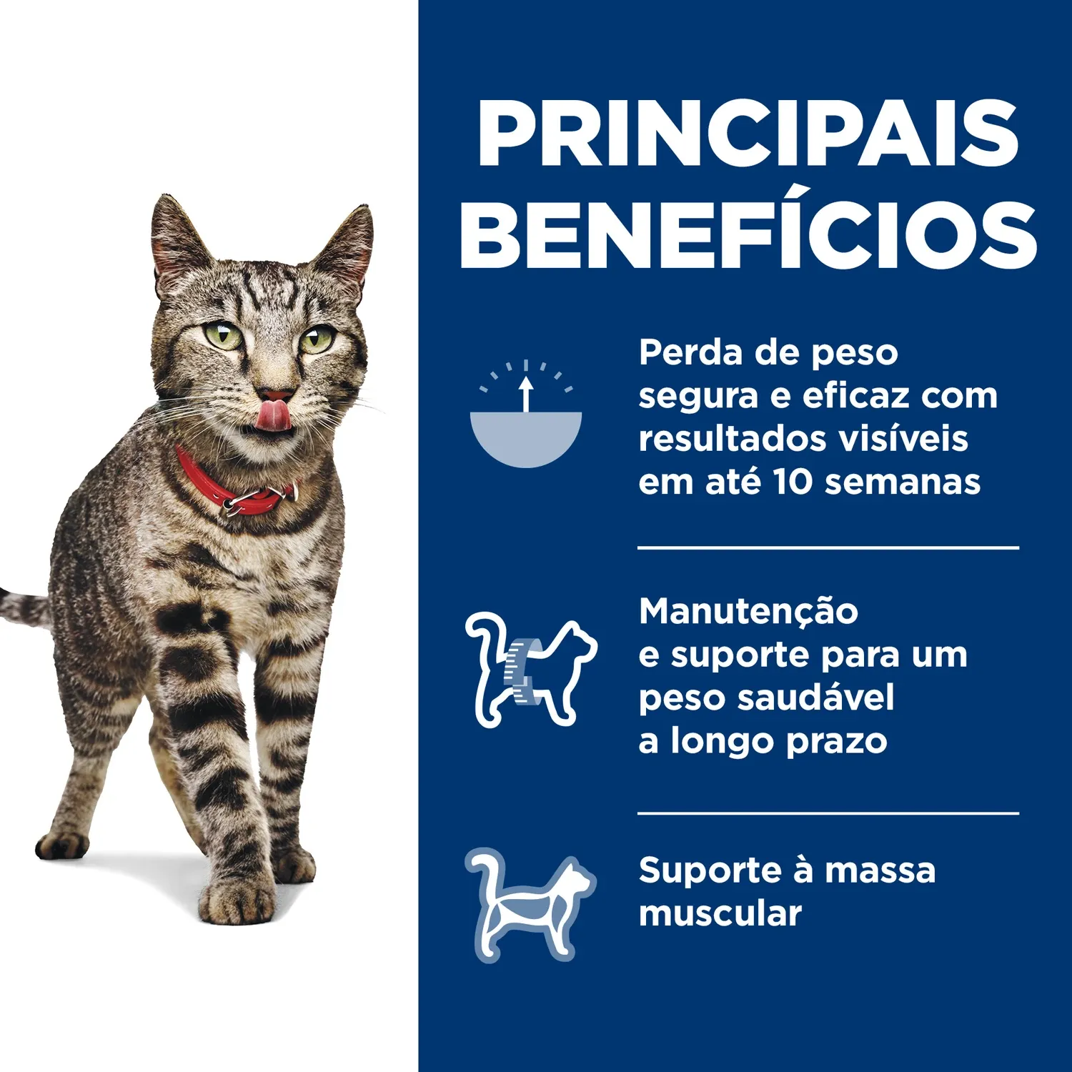 Principais-Beneficios.webp
