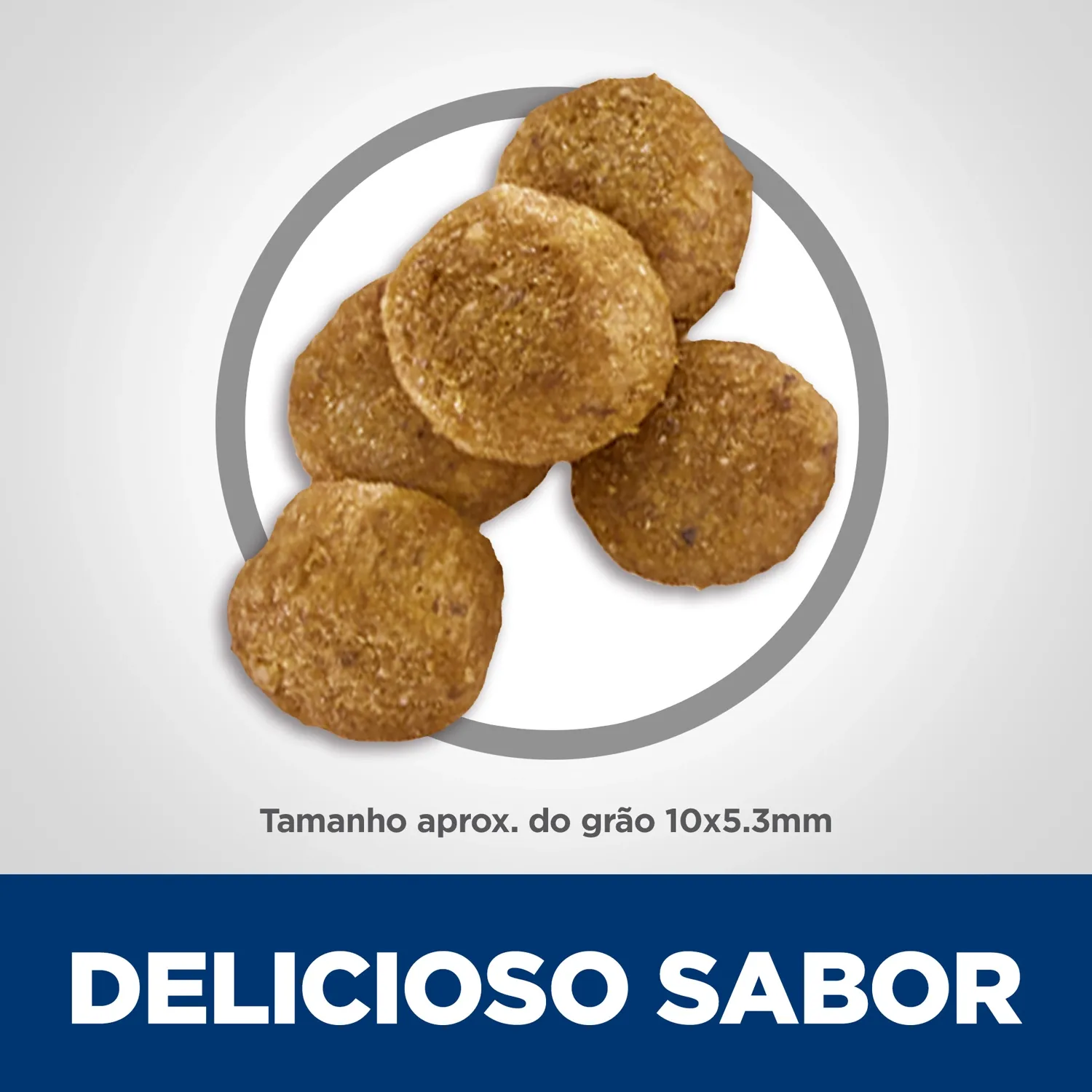 Delicioso-Sabor.webp