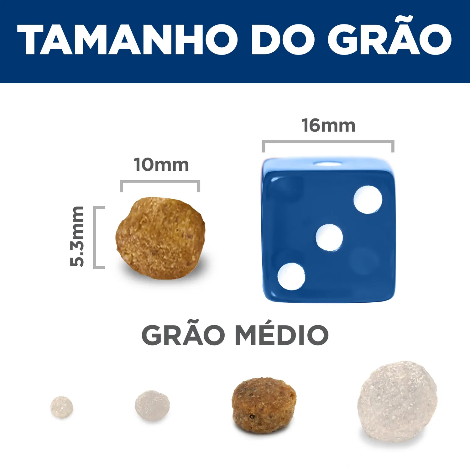 Tamanho-do-Grao.webp