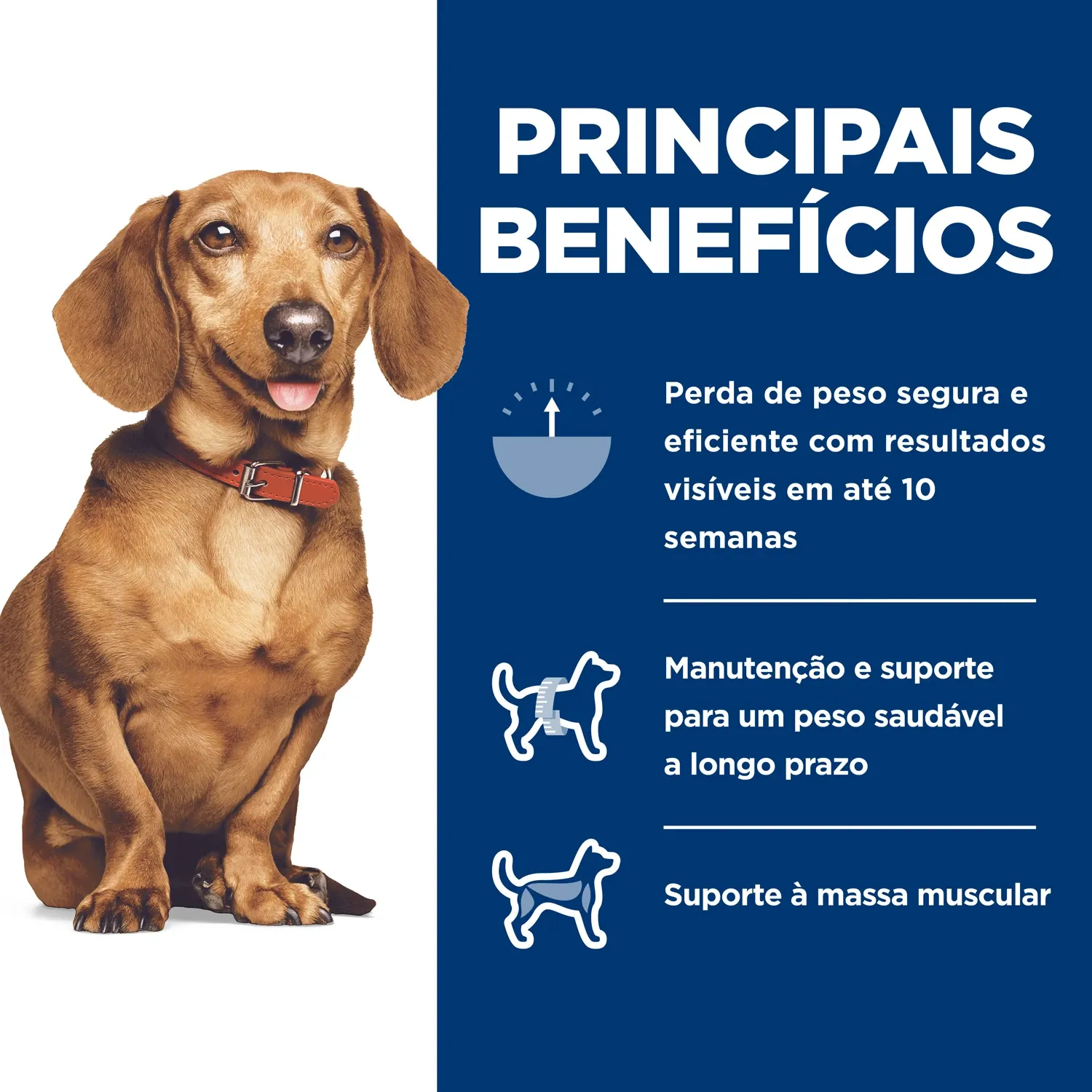 Ração Hill's Science Diet Peso Perfeito para Cães Adultos Pequenos e Mini Sabor Frango