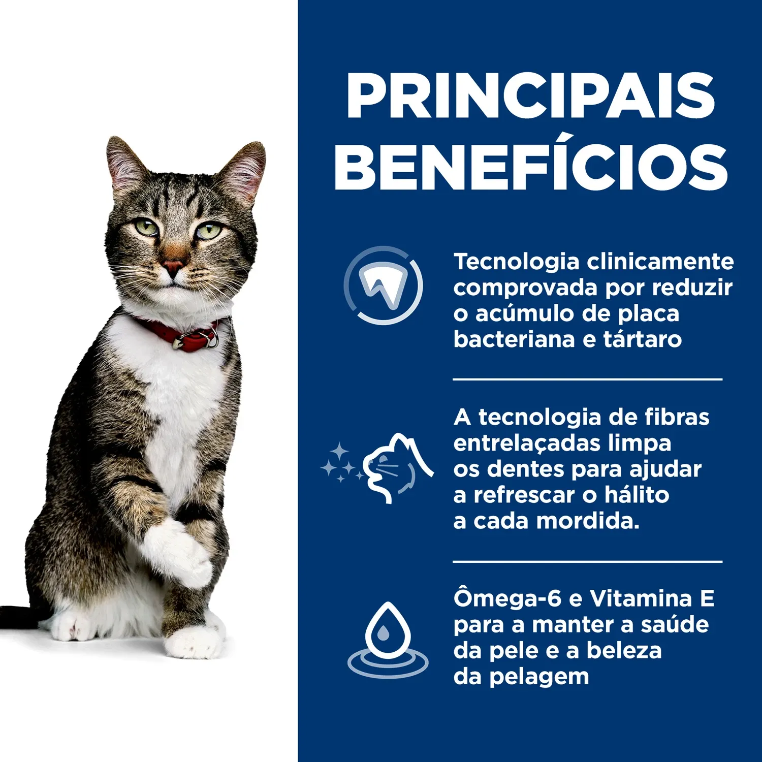 Principais-beneficios.webp