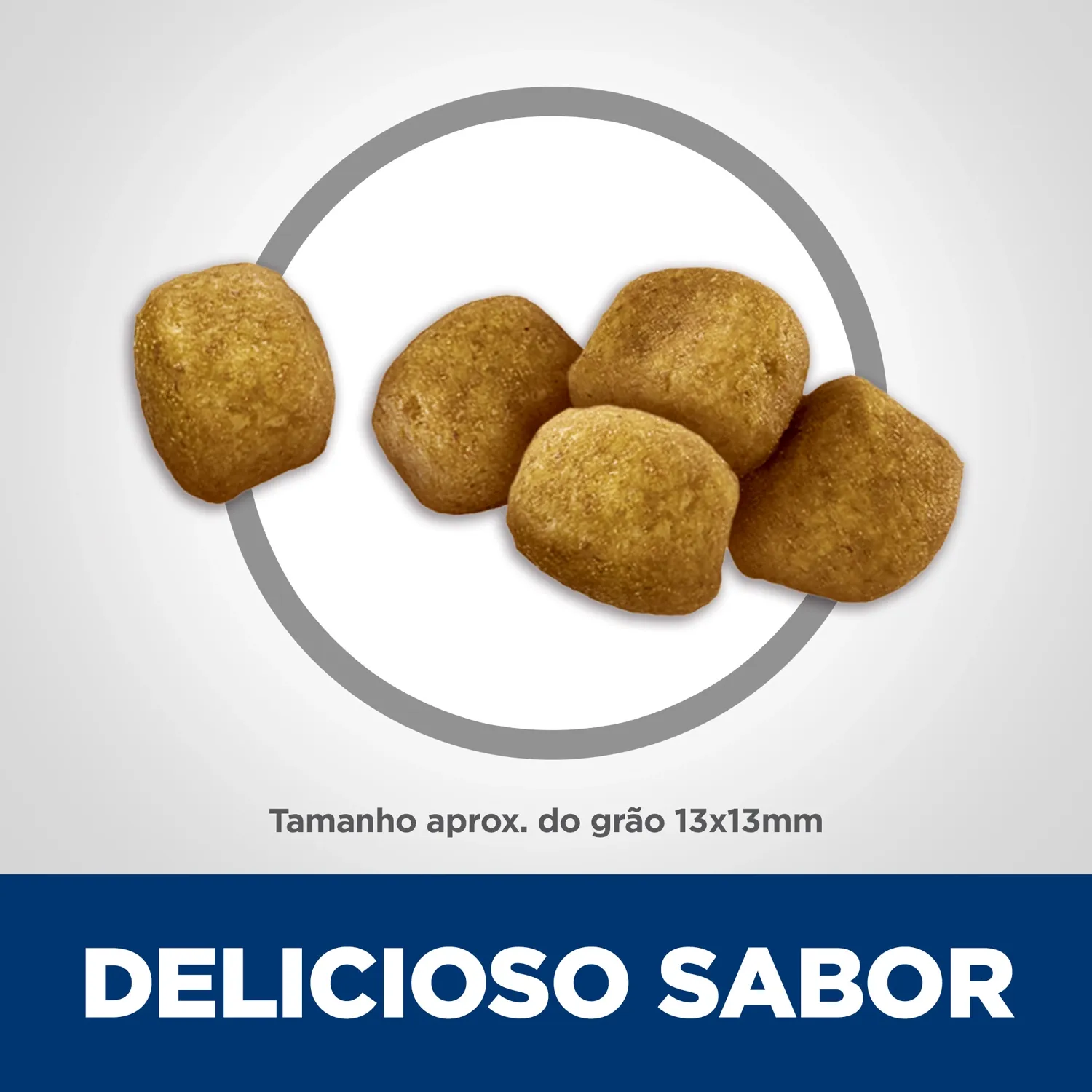 Delicioso-sabor.webp