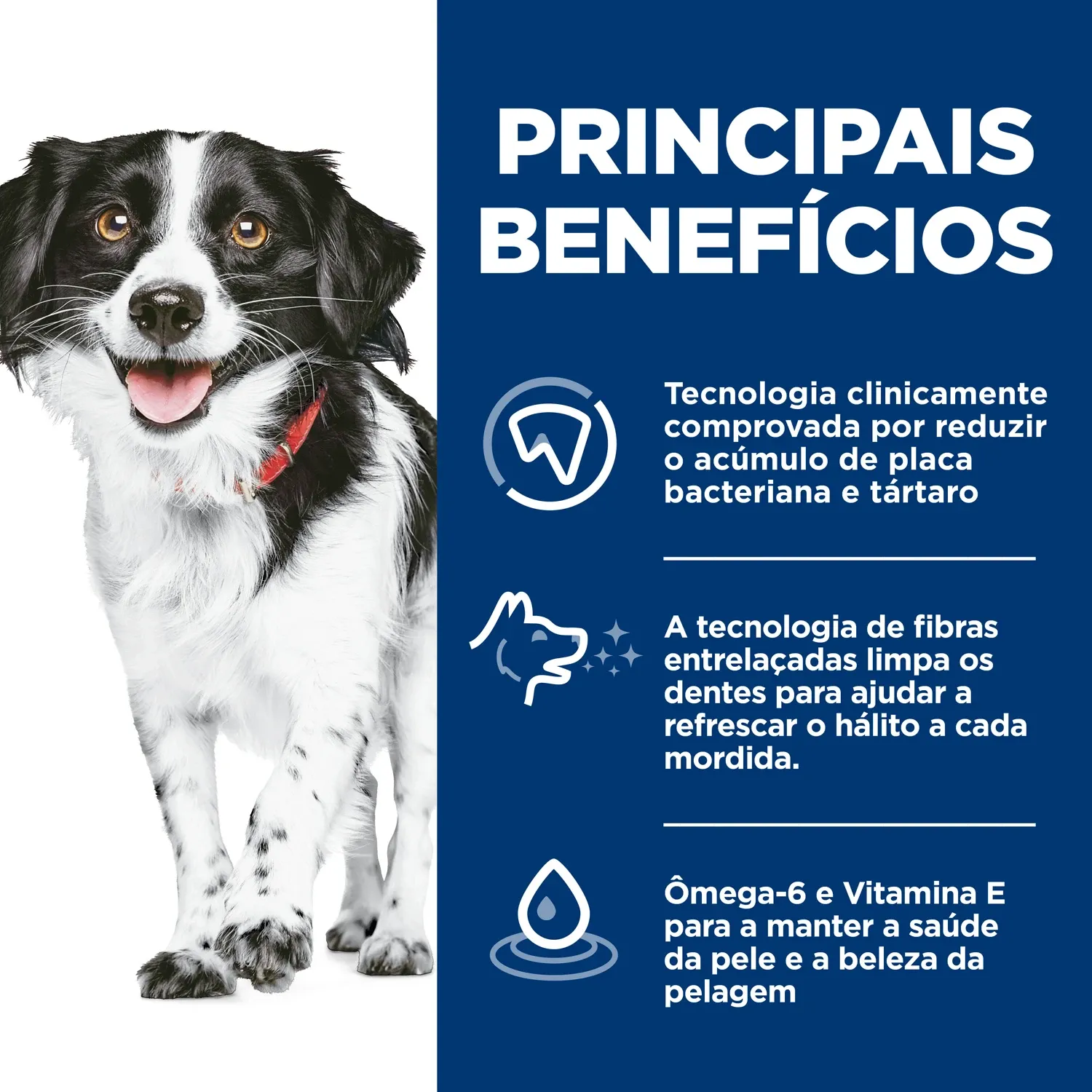 Principais-beneficios.webp