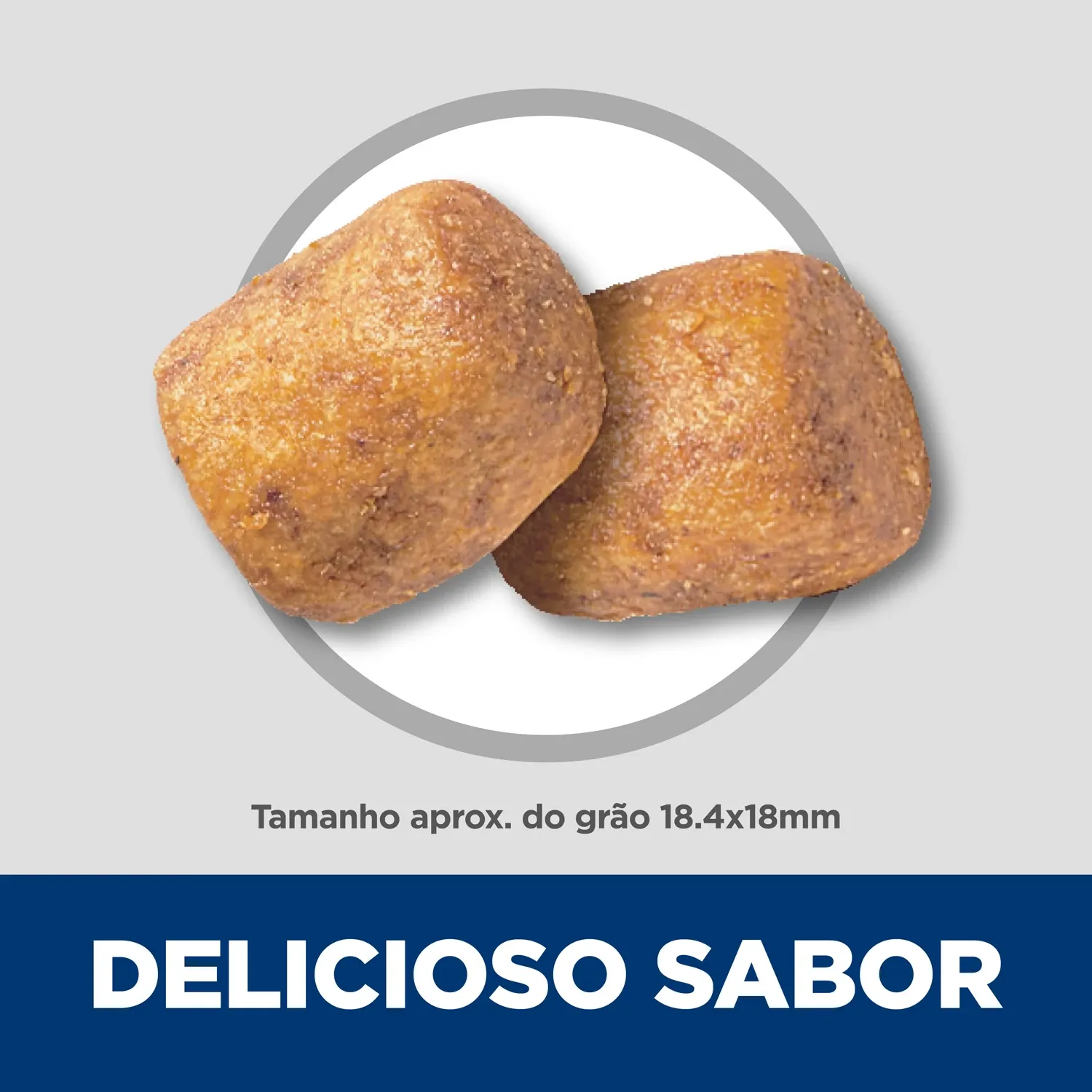 Delicioso-Sabor.webp