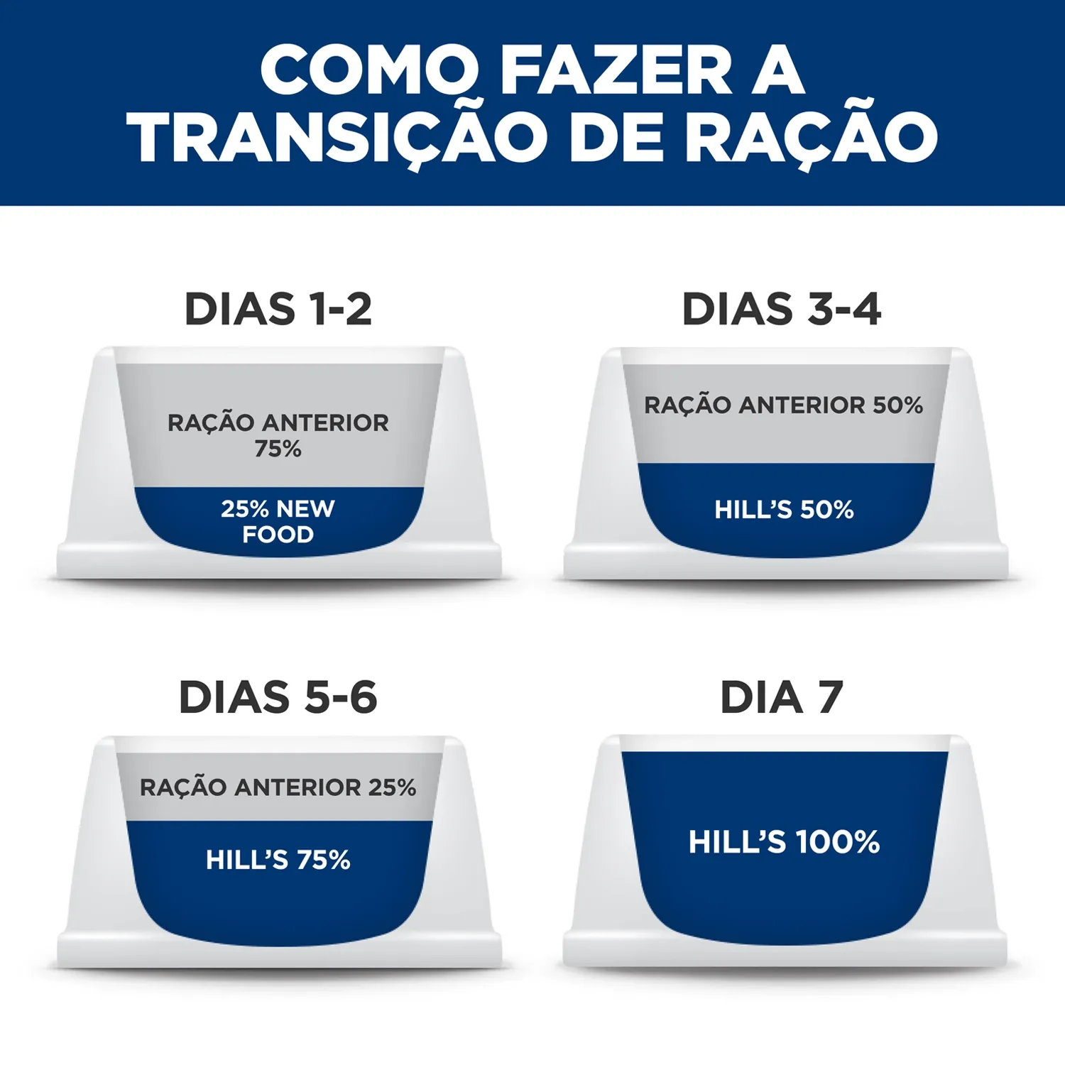 Transicao.webp