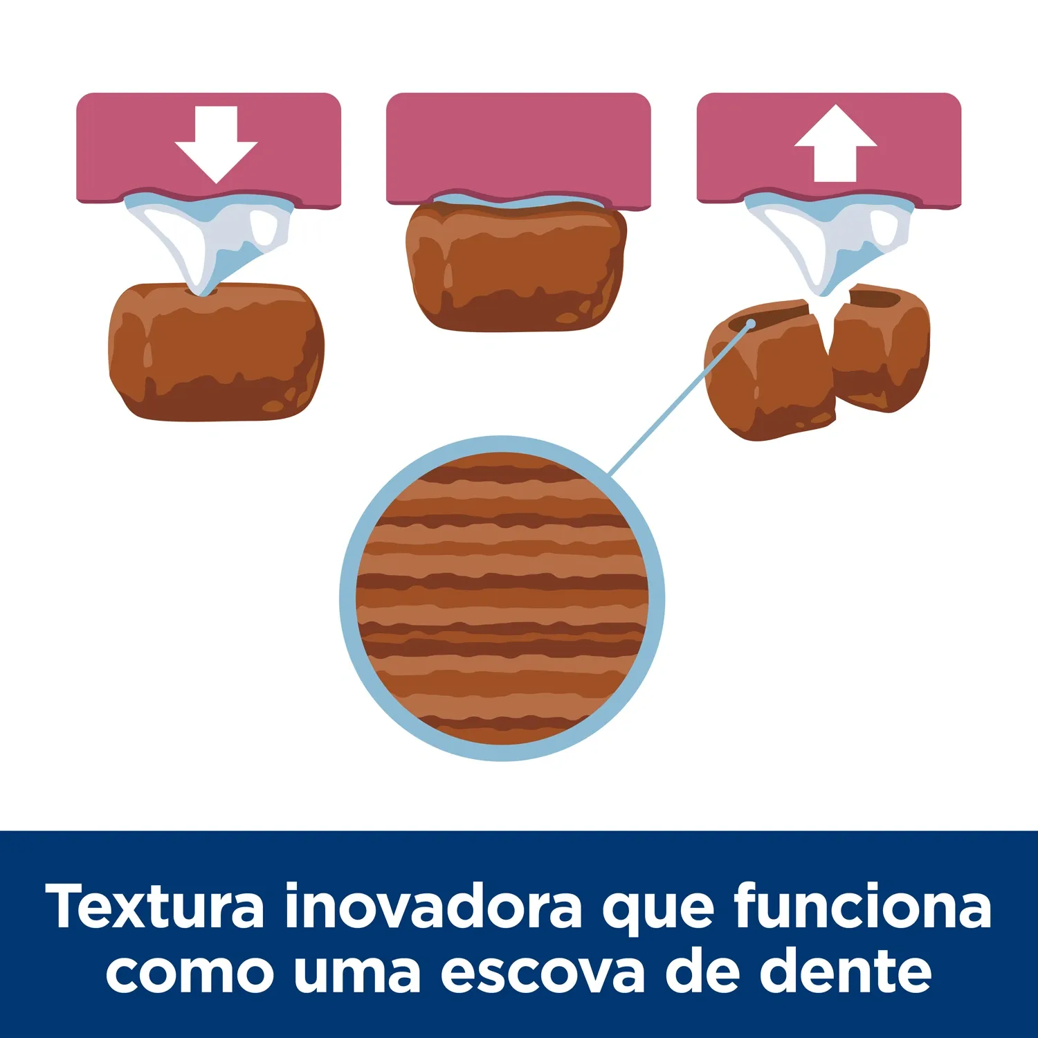 Textura-Inovadora.webp