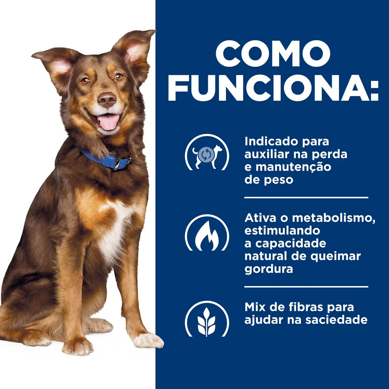 Ração Úmida Hill's Prescription Diet Metabolic Obesidade para Cães