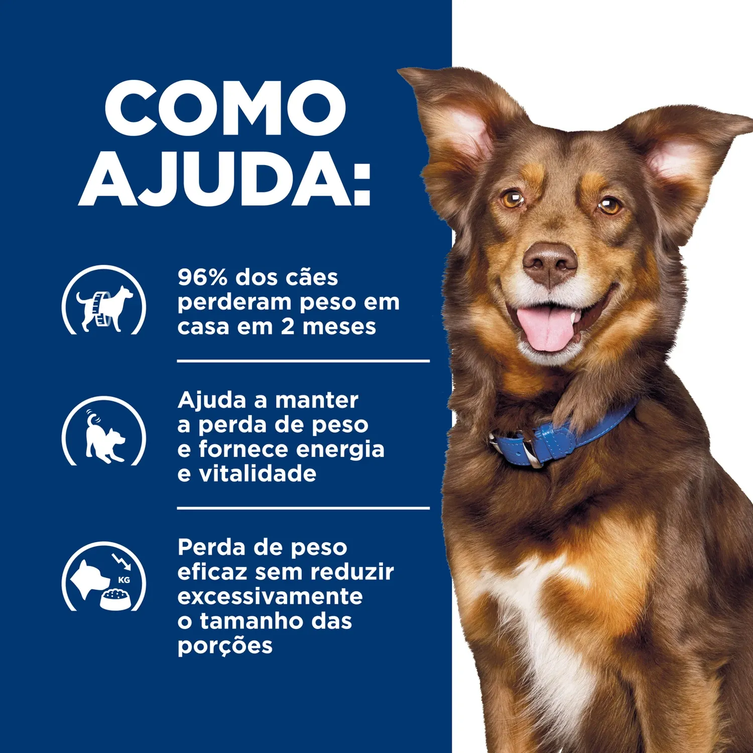 Ração Úmida Hill's Prescription Diet Metabolic Obesidade para Cães Ração Úmida Hill's Prescription Diet Metabolic Obesidade para Cães