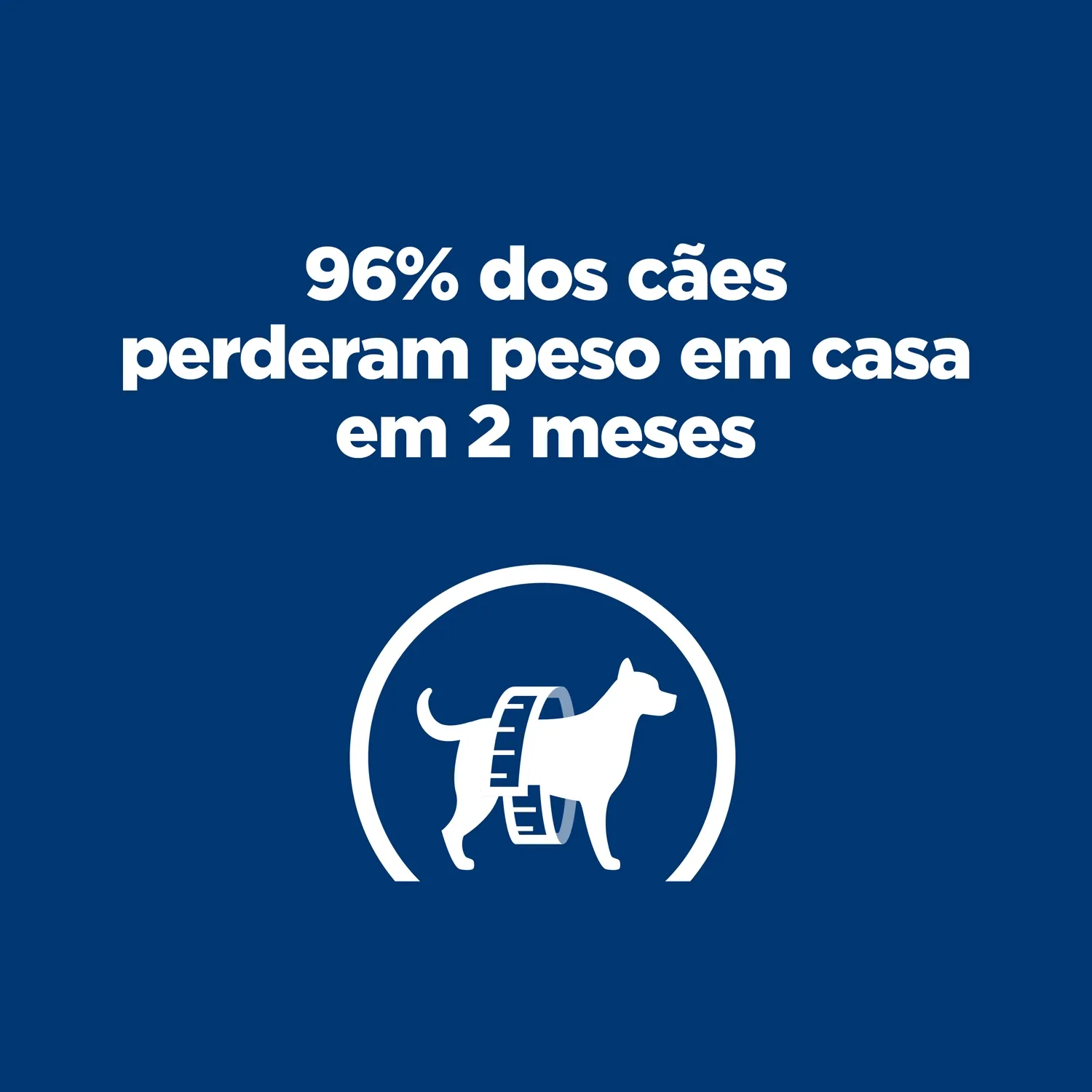 Satisfacao.webp