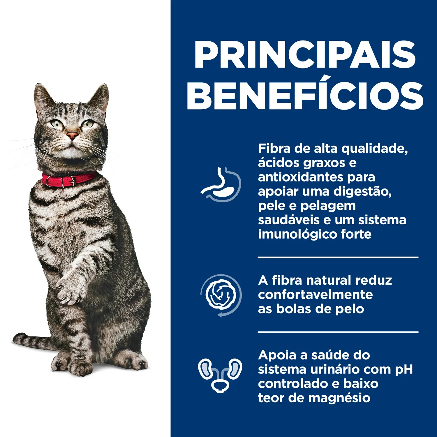 Principais-beneficios.webp