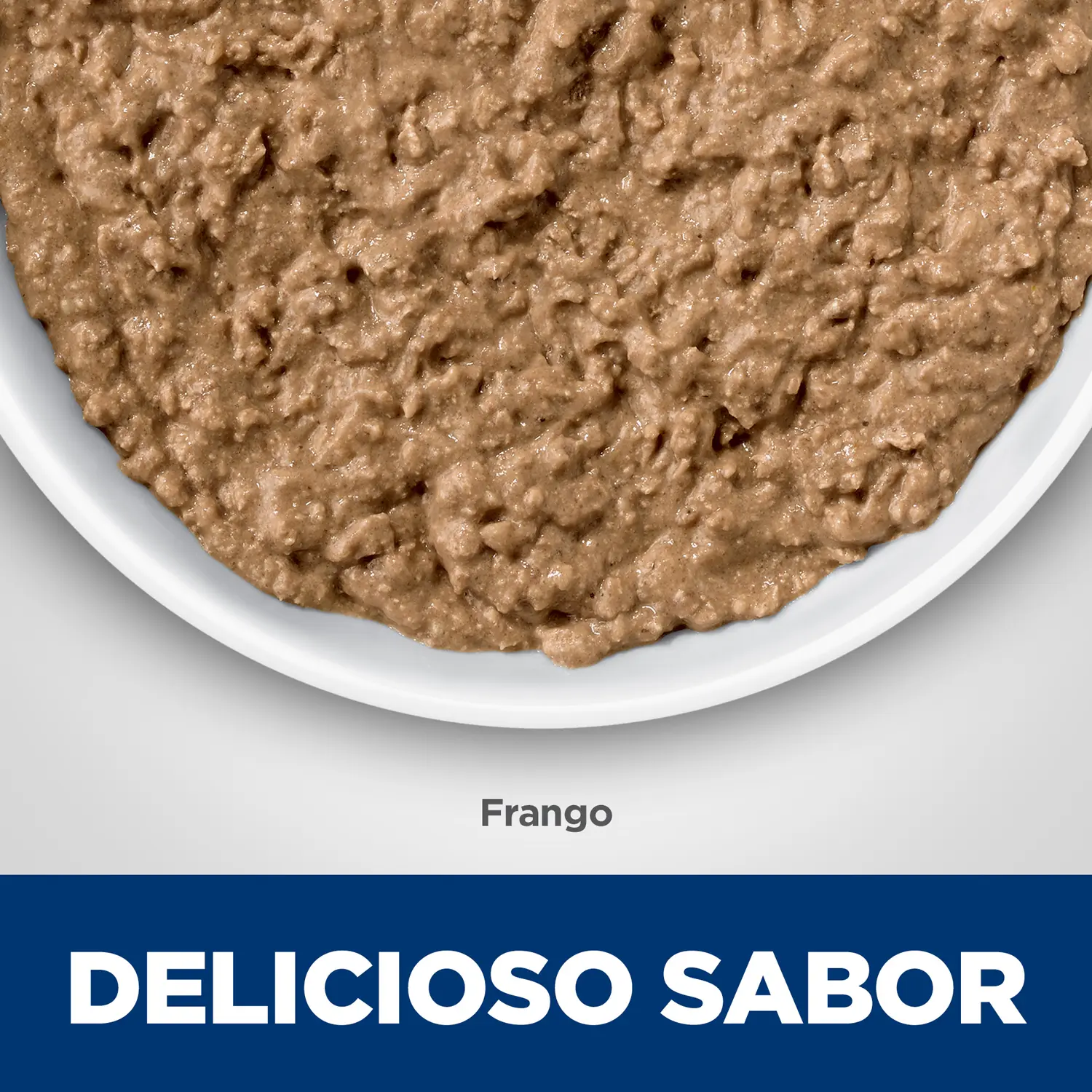 Delicioso-Sabor.webp