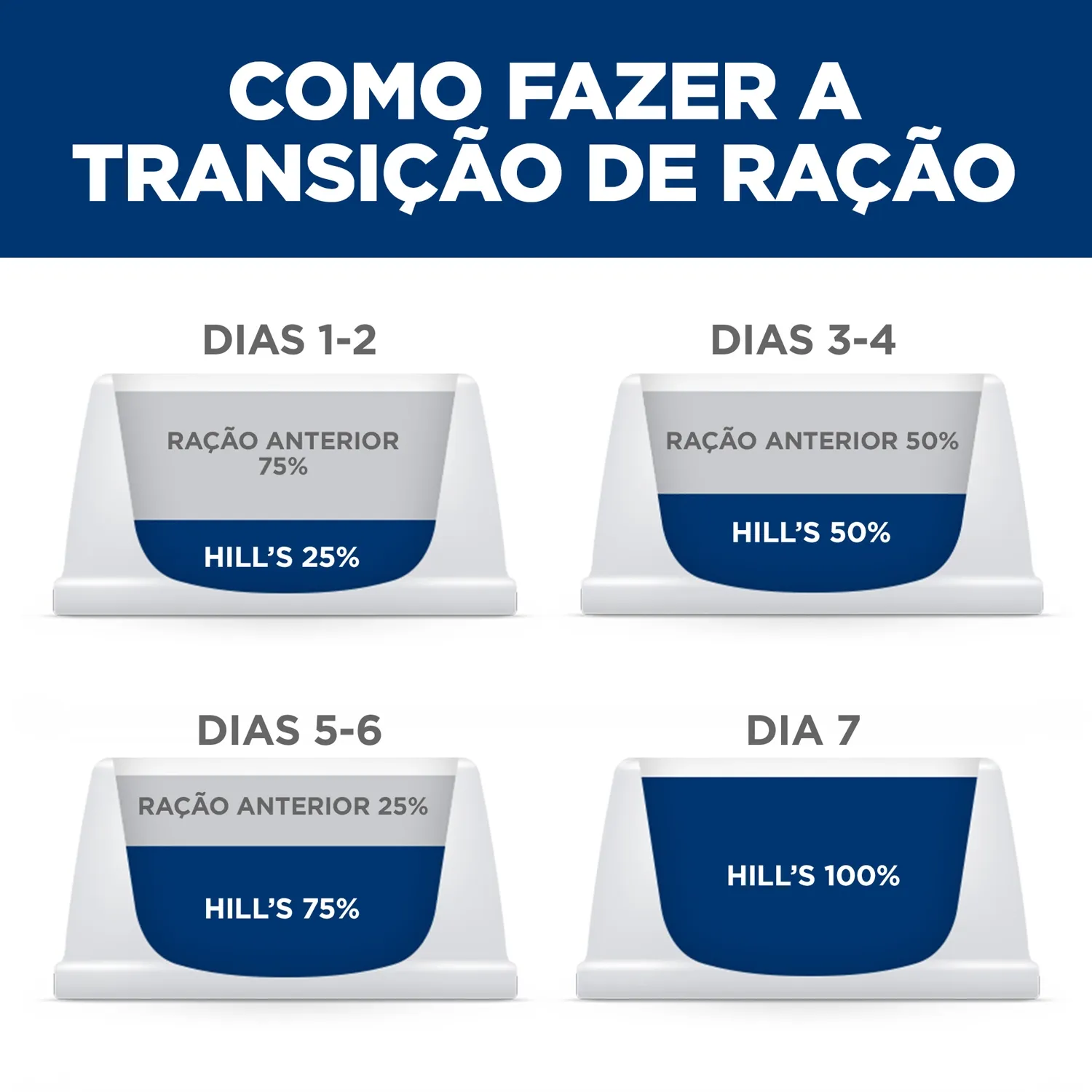 Transicao.webp