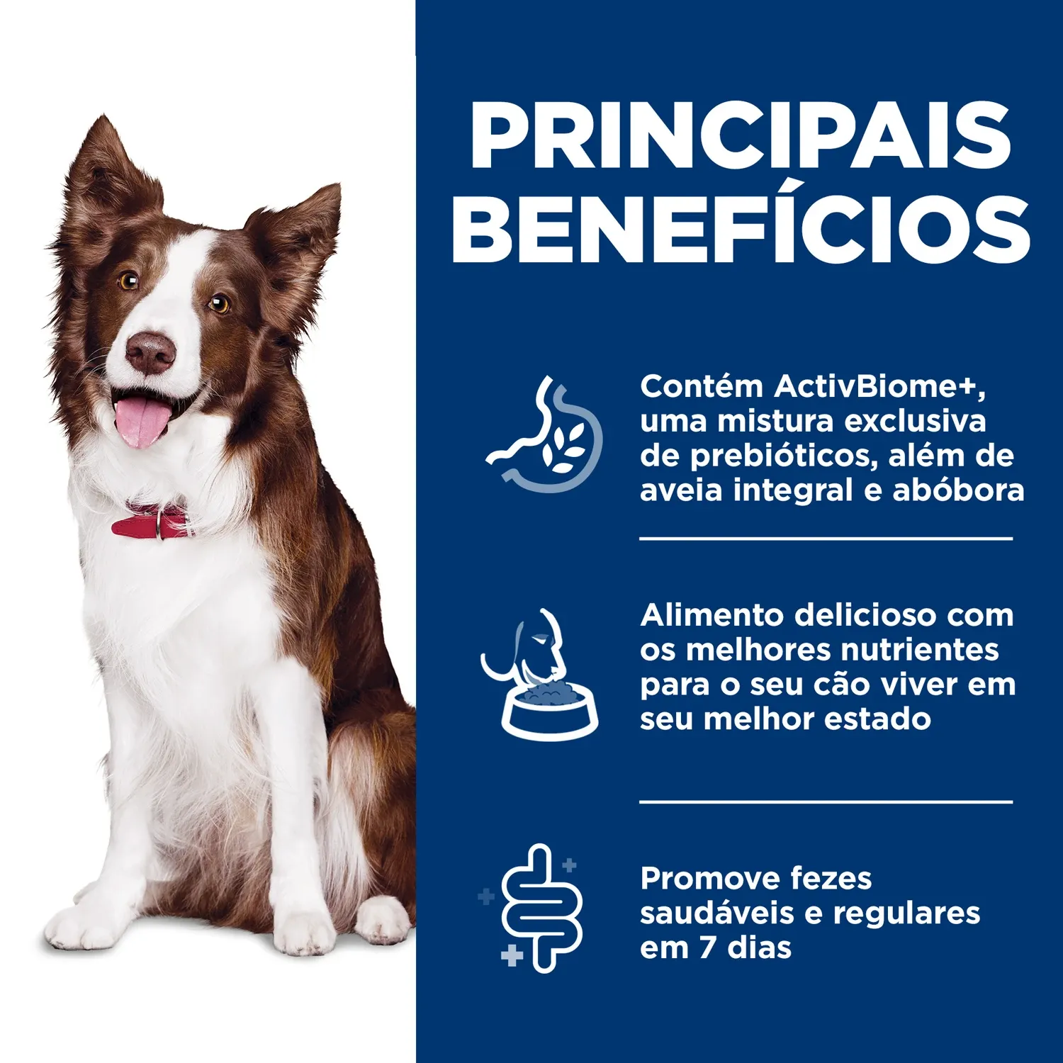 Principais-Beneficios.webp