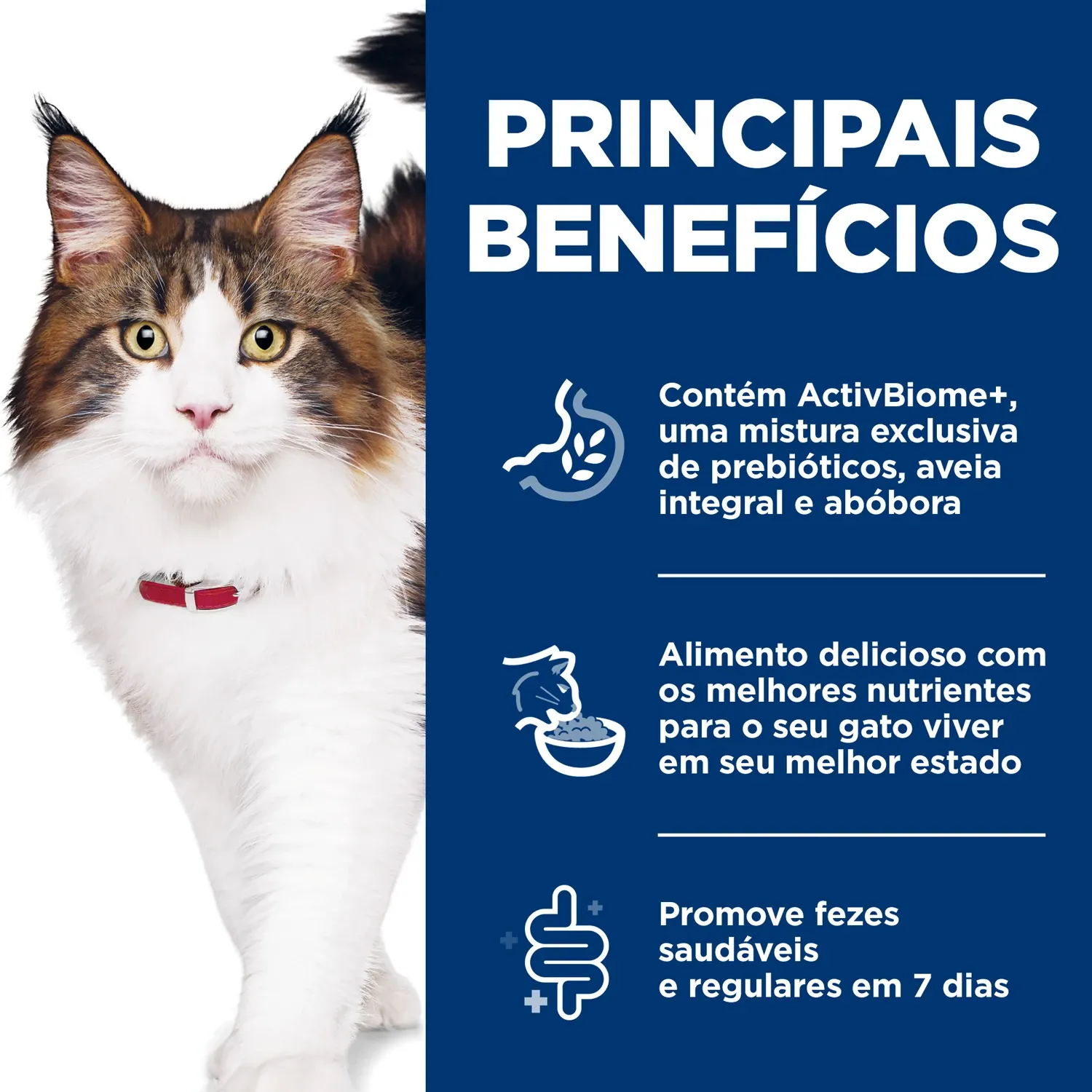 Principais-beneficios.webp